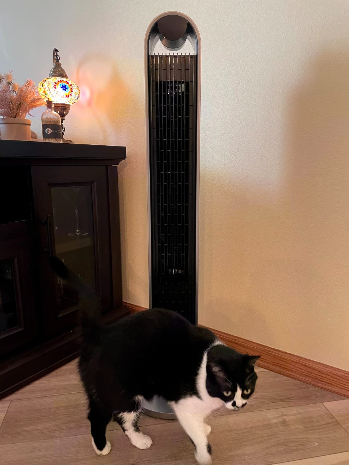 DREO Tower Fan for Bedroom, 42 Inch 120-degree Oscillating Fan, 20dB Quiet DC Motor, 28ft/s Velocity Bladeless Standing Fan with 12 Speeds, 4 Modes, 12H Timer Cooling Fans for Home, Living Room customer photo 2