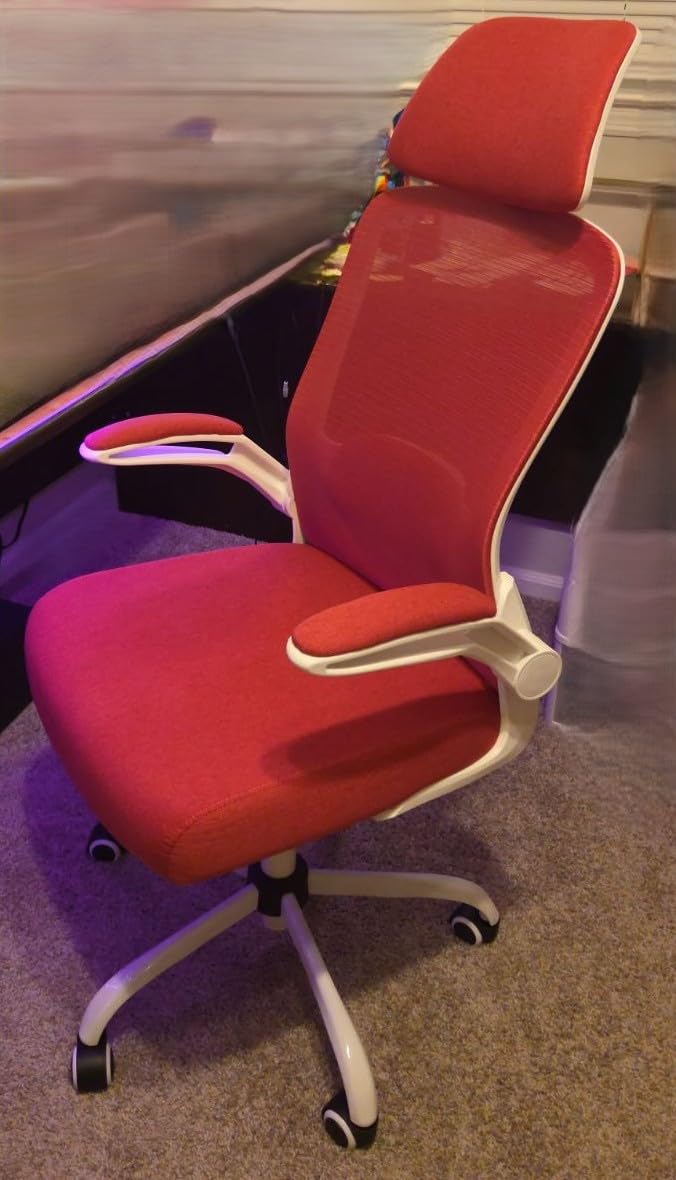Mimoglad Office Chair, High Back Ergonomic Desk Chair with Adjustable Lumbar Support and Headrest, with flip-up Armrests for Guitar Playing, 5 Years Warranty (Moon Grey) customer photo 2