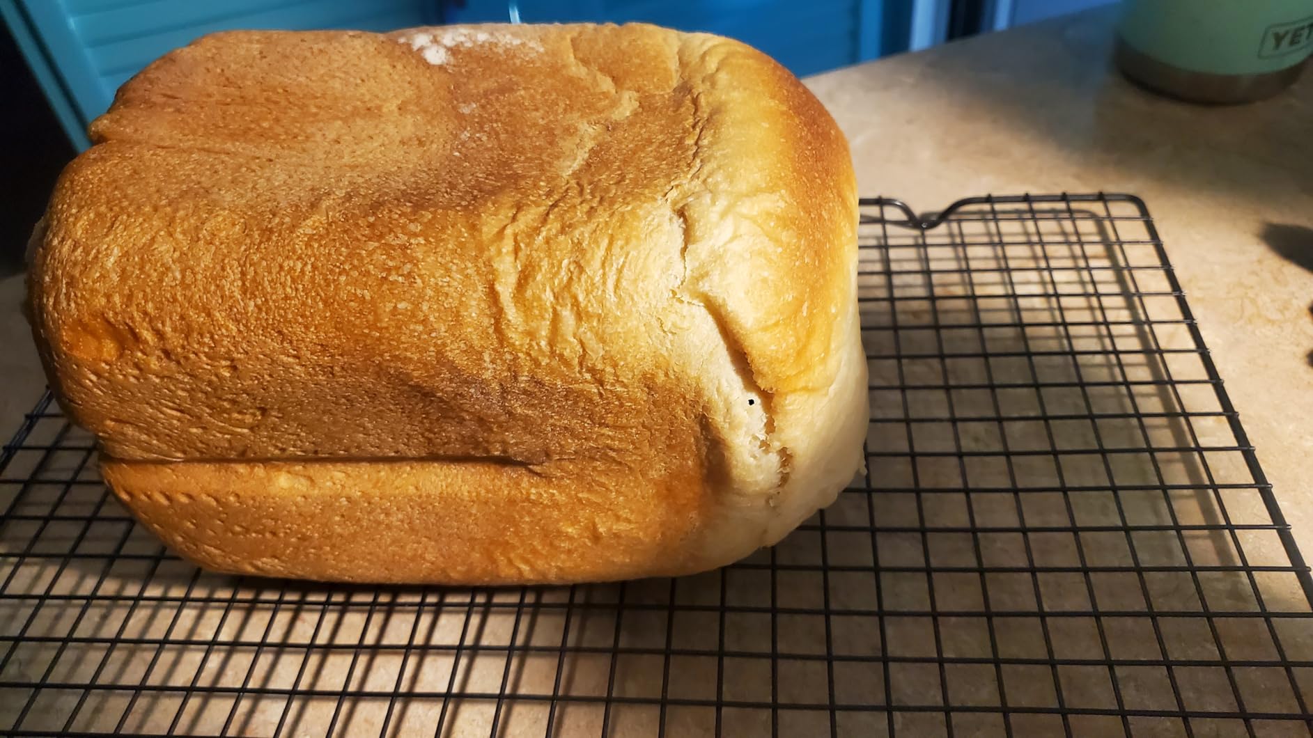 Elite Gourmet Programmable Bread Maker, 2 lb Loaf, 3 Sizes, 19 Presets incl. Gluten-Free, Dough & Jam, Delay Timer, Mint customer photo 1