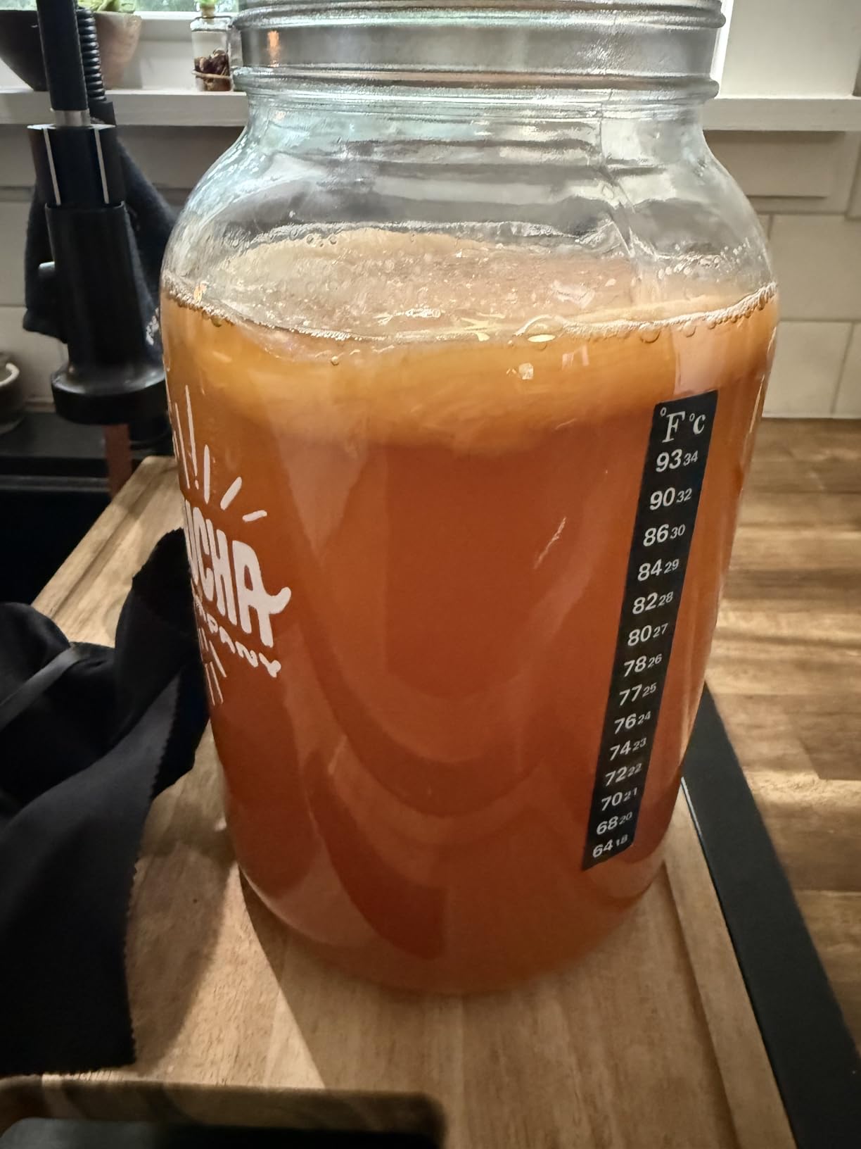 Kombucha Home Brewing Starter Kit | 5-Inch Large Scoby Kombucha Starter Kit | Complete Kit Includes What You Need w/ 16 oz Starter Tea, Brewing Jar & Brewing Supplies | Brew Unlimited Kombucha customer photo 1