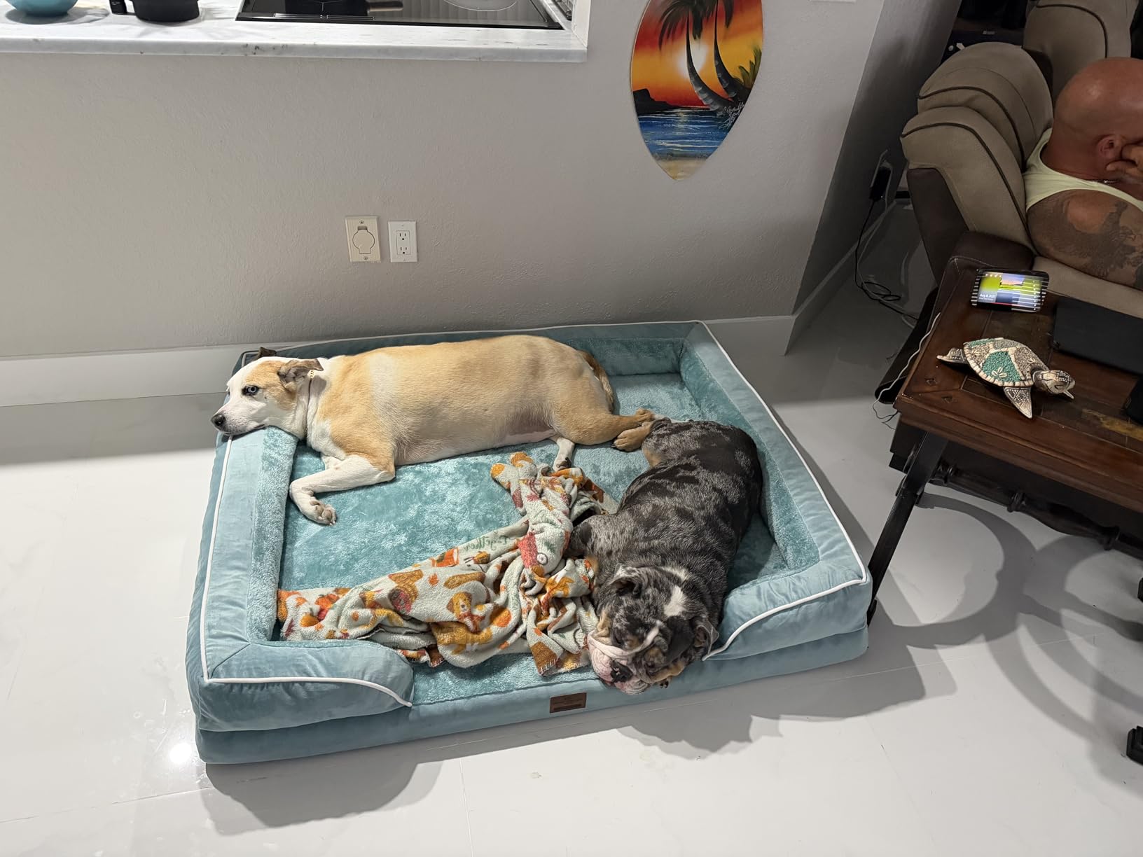 Comfort Expression Orthopedic Dog Bed for Extra Large Dogs 42x30 Inch, Waterproof Egg Crate Foam XL Pet Bed with Removable Bolsters, Dog Couch with Washable Cover & Non-Slip Bottom, Grey customer photo 1