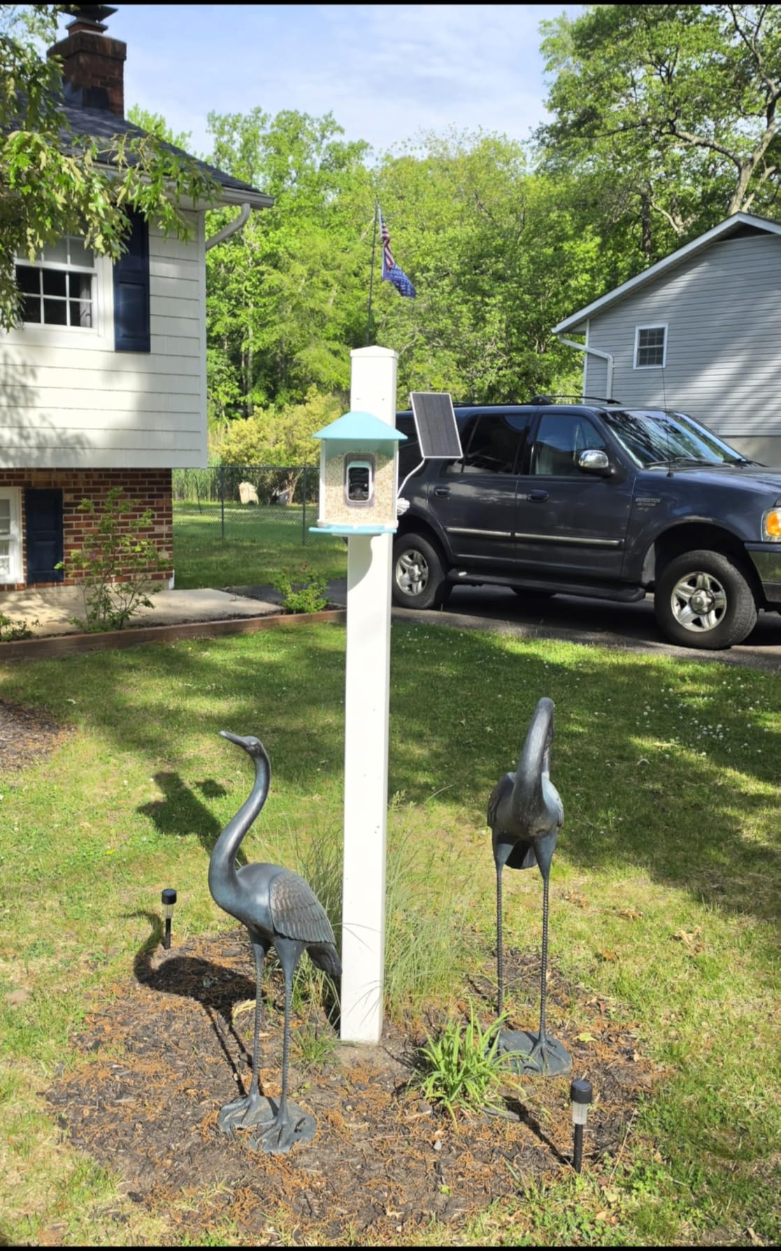 NETVUE by Birdfy Smart Bird Feeder with 2K HD AI Camera Solar Powered, Wireless Wildbird Watching, Live Stream&Color Night Vision, Auto-Capture & Notify, Free Cloud Storage customer photo 1
