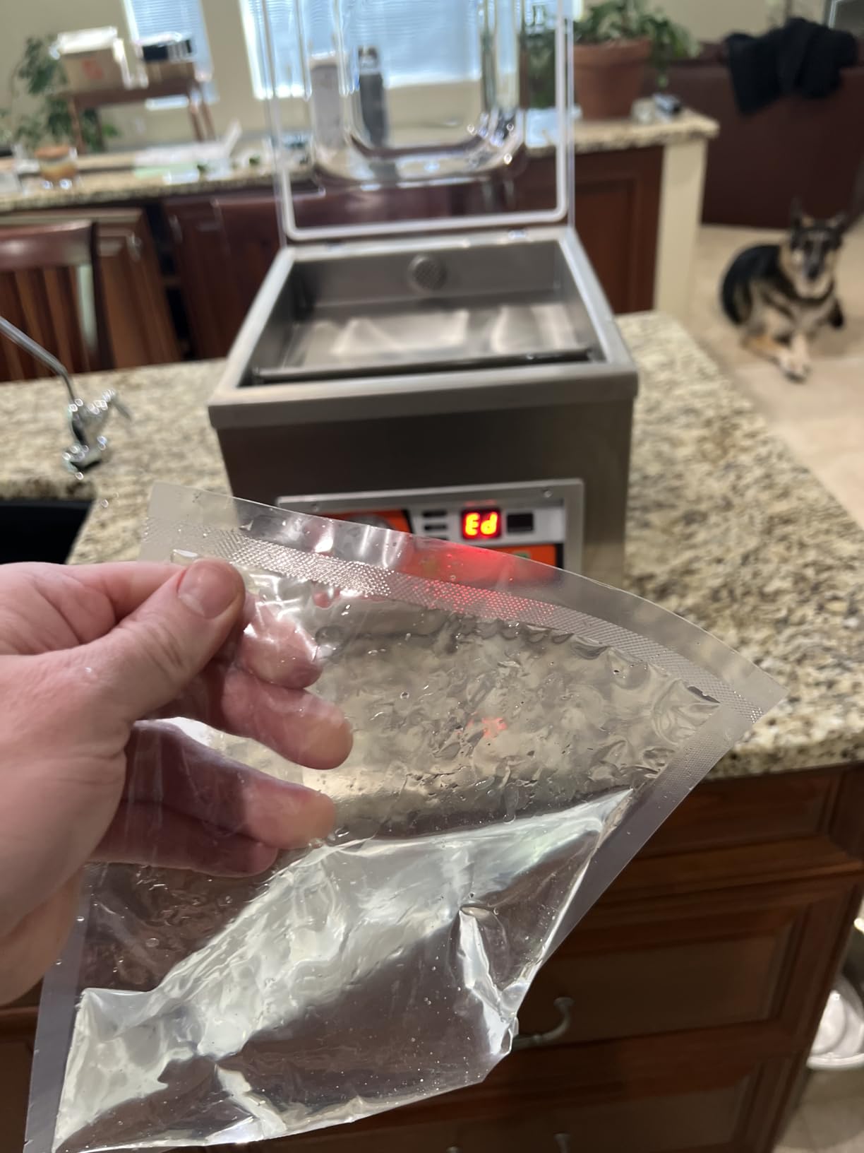 VEVOR Chamber Vacuum Sealer, 260W Sealing Power, Vacuum Packing Machine for Wet Foods, Meats, Marinades and More, Compact Size with 10.2 in Sealing Length, Applied in Home Kitchen and Commercial Use customer photo 1