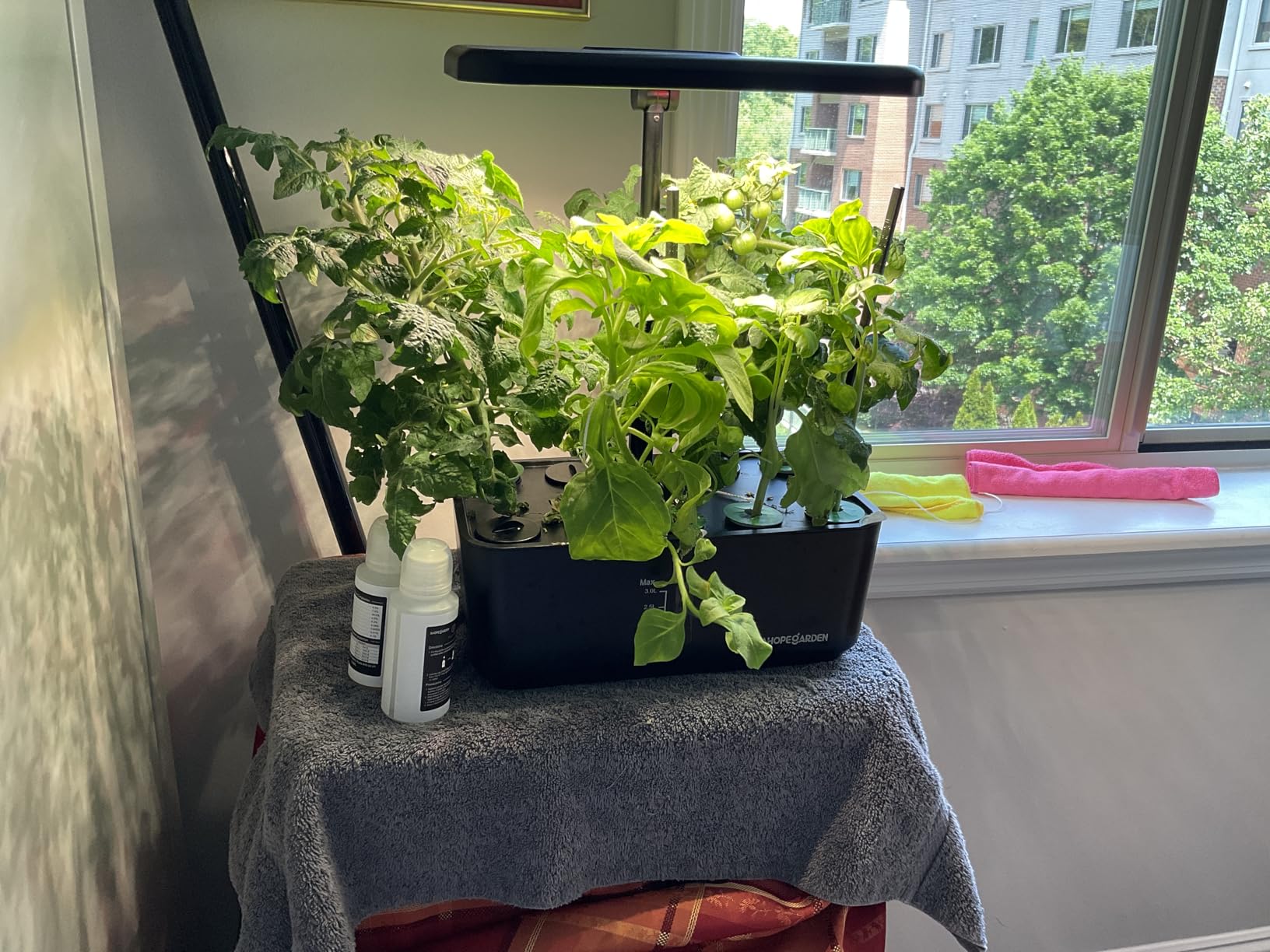 Ahopegarden Indoor Garden Hydroponics Growing System: 10 Pods Plant Germination Kit with LED Grow Light customer photo 2