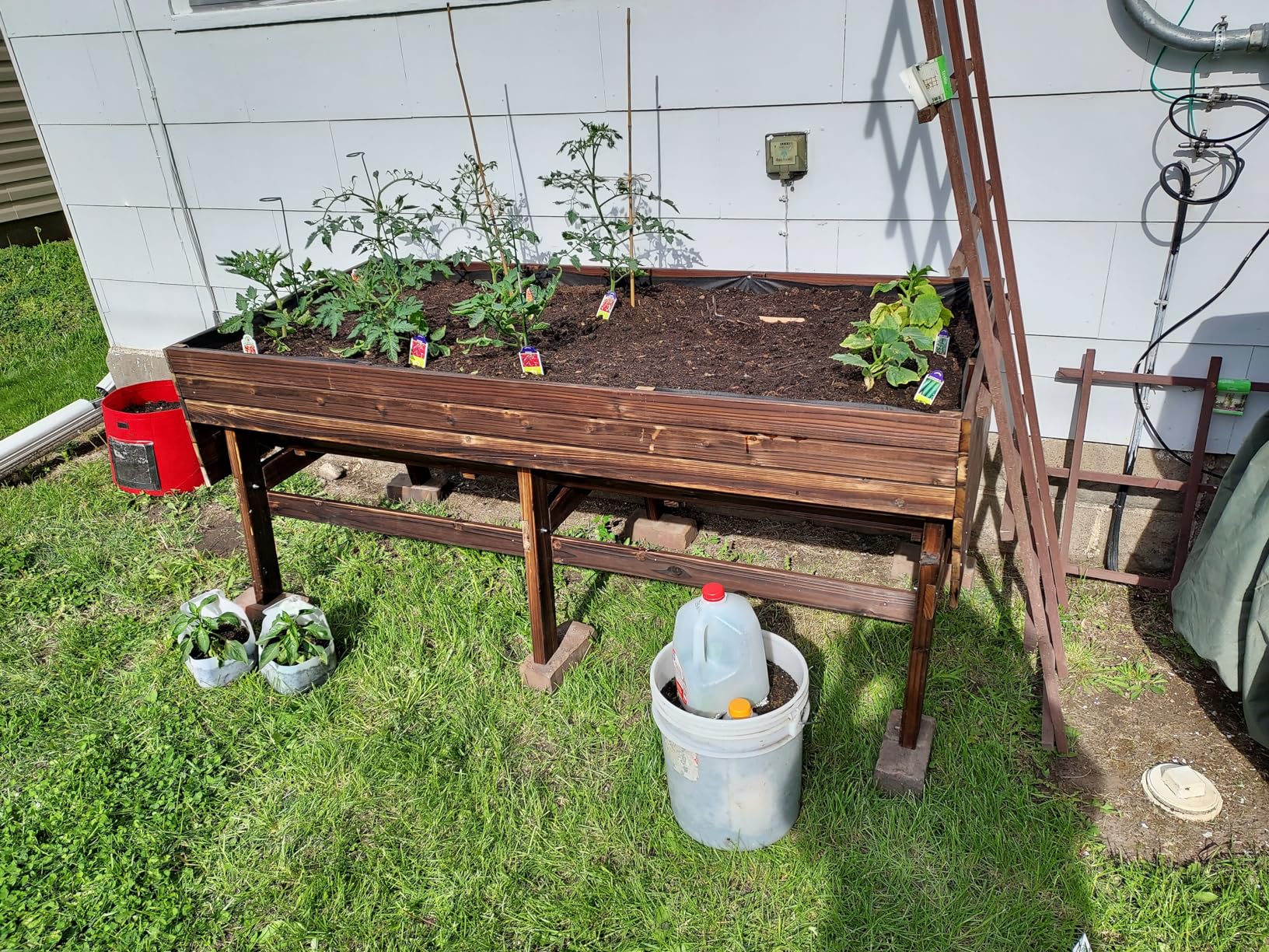MUPATER 6x3x2FT Cedar Raised Garden Bed for Outdoor, Raised Garden Bed with 6 Legs, 837lbs Large Elevated Garden Planter Box with Liner for Herbs, Vegetables, Rustic customer photo 2