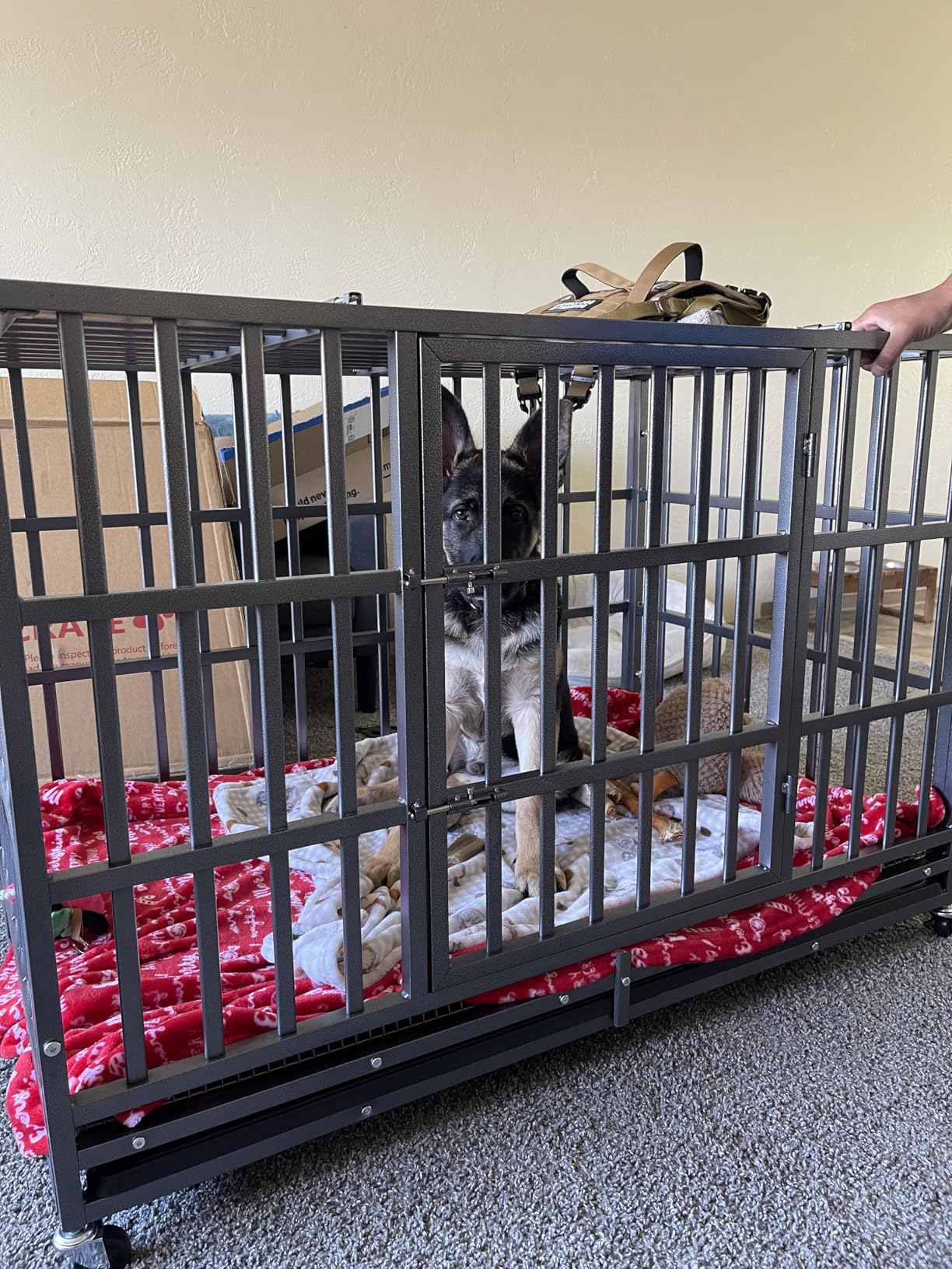 Hiwokk 48 Inch Heavy Duty Dog Crate, Indestructible Escape-Proof Dog Kennel for High Anxiety Large Dogs, Strong Metal Pet Cage with Double Doors, Lockable Wheels & Removable Tray, XL XXL XXXL customer photo 1