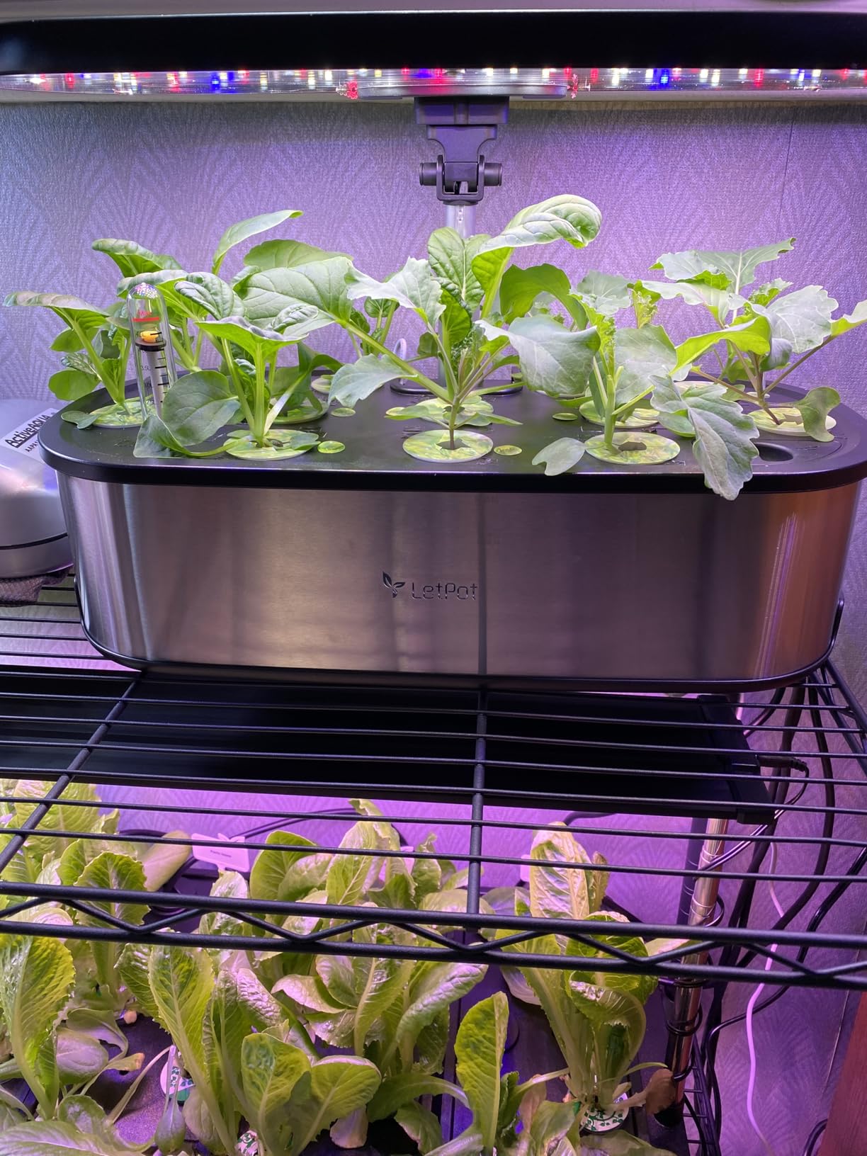 LETPOT LPH-SE Hydroponics Growing System, 12 Pods Smart Herb Garden Kit Indoor, APP & WiFi Controlled customer photo 1