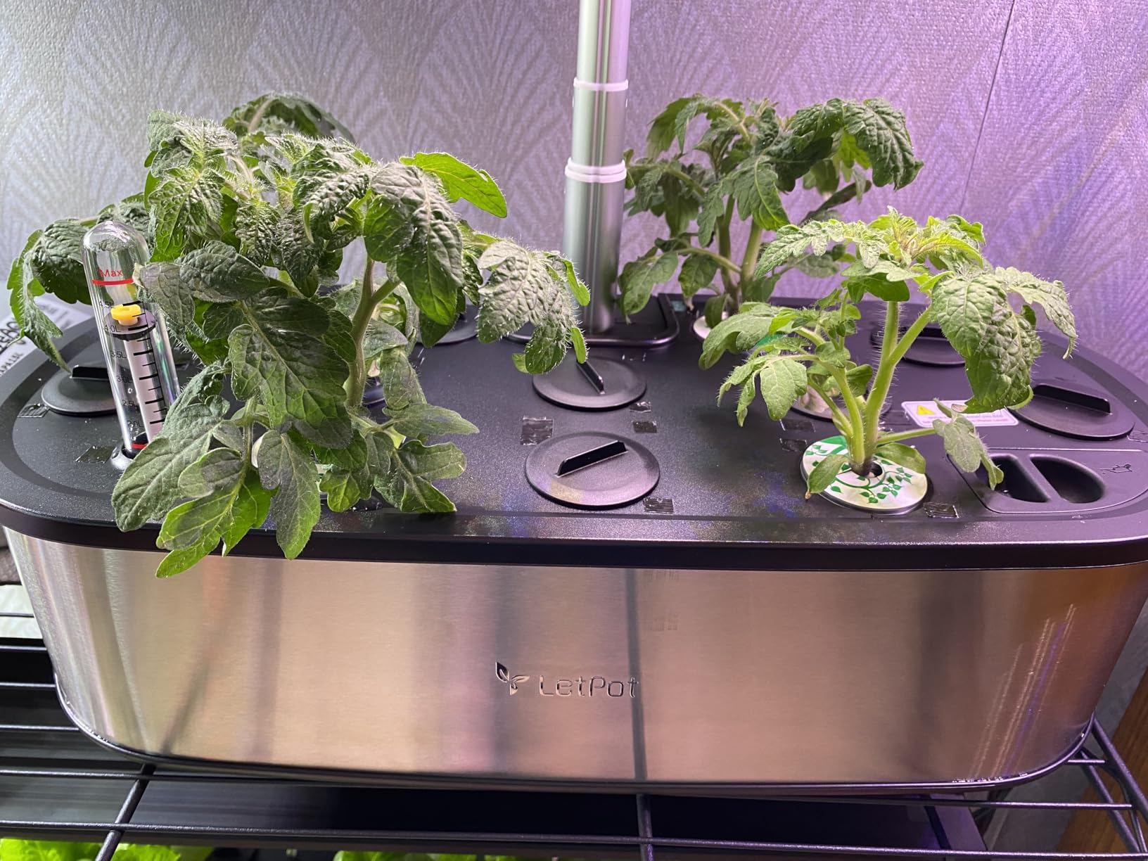 LETPOT LPH-SE Hydroponics Growing System, 12 Pods Smart Herb Garden Kit Indoor, APP & WiFi Controlled customer photo 2