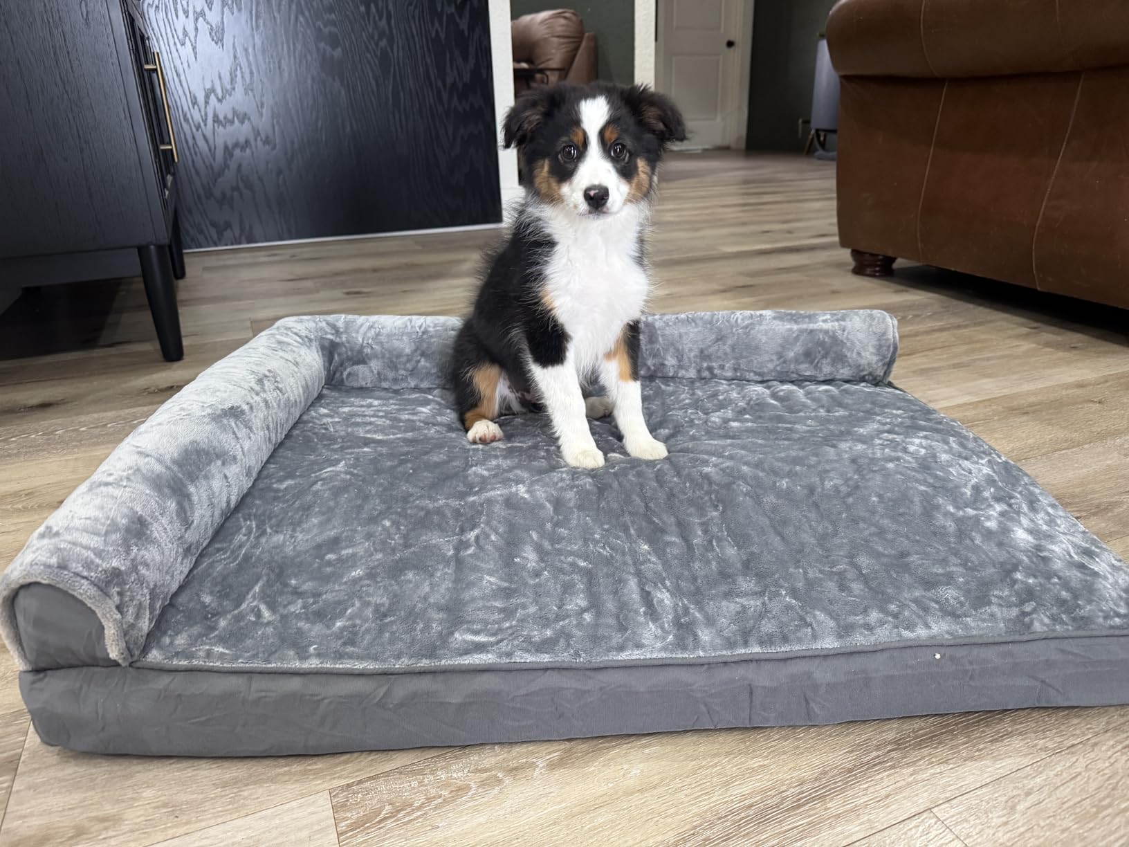 KSIIA Orthopedic Dog Bed - Waterproof for Large Dogs, Flannel Bolster Couch With Egg Crate Foam, Removable Washable Cover & Nonskid Bottom, 36 x 27 Inch, Gray customer photo 2