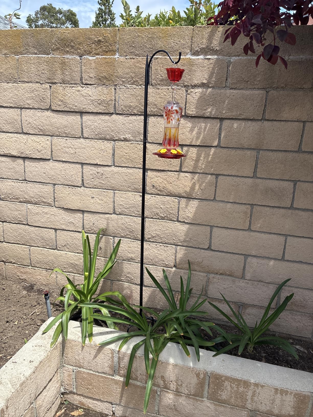 Kingsyard Glass Hummingbird Feeders for Outdoors Hanging, 25 oz Leak Proof Hummingbird Feeder with Ant Moat & 6 Bee Proof Feeding Ports, Red customer photo 2