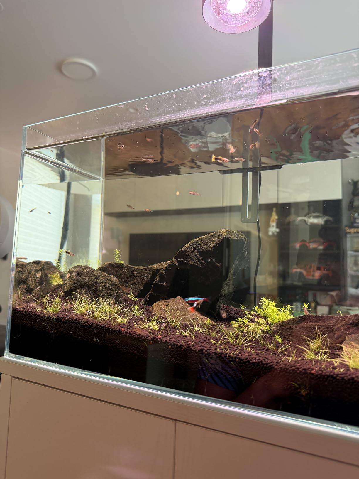 LAQUAL Rimless Glass Aquarium Starter Kit (3 Gal), Ultra Clear Low Iron Glass Fish Tank Set, Small Beta Fish Tank & Filter with Surface Skimmer & 3-Mode LED Light customer photo 2