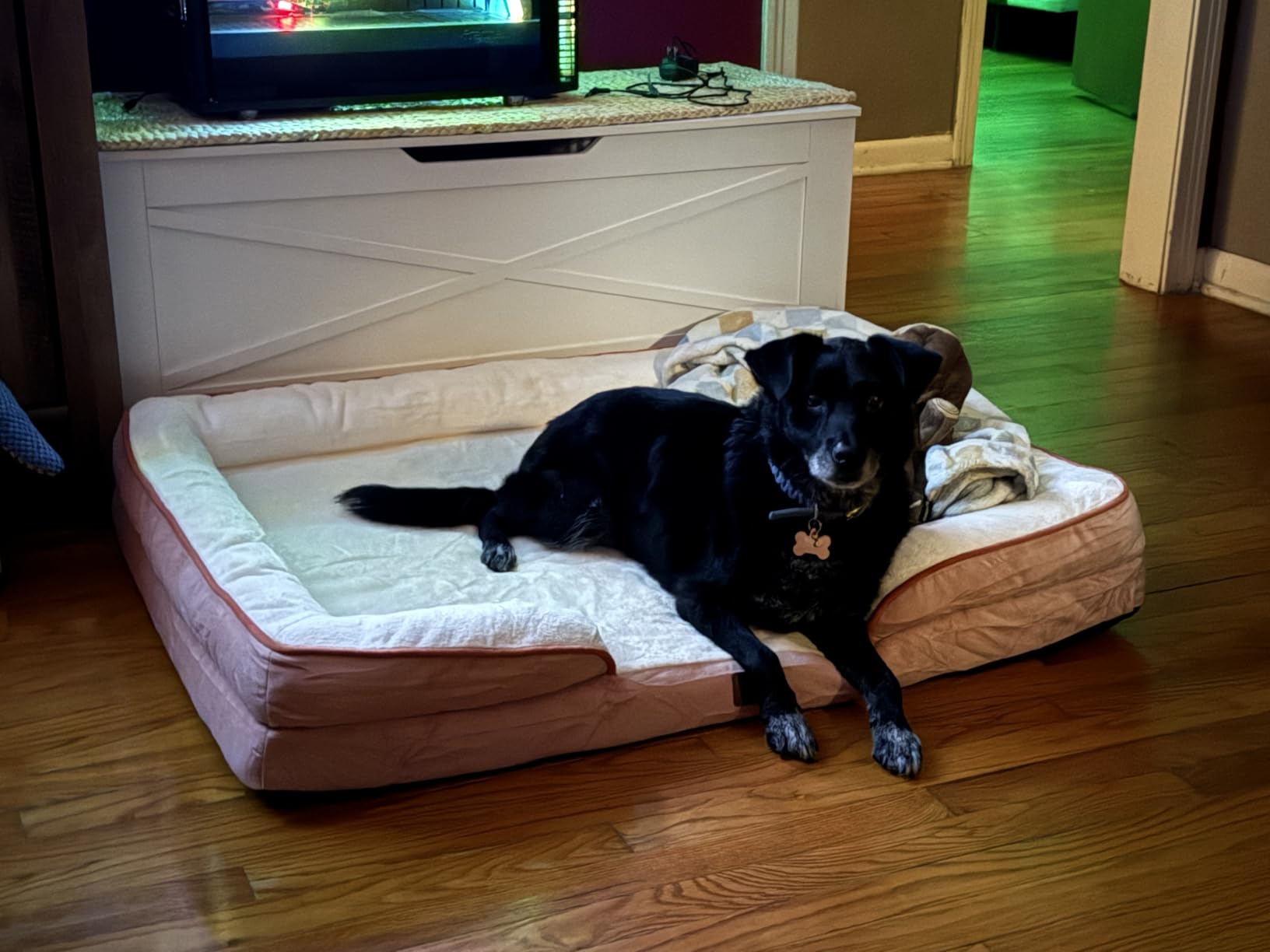 Bedsure L Plus Orthopedic Dog Bed for Large Dogs - Washable Dog Cat Bed Waterproof, L Plus Big Comfort Dogs Couch Sofa with Washable Removable Cover, Pet Bed with Nonskid Bottom, Grey, 38
