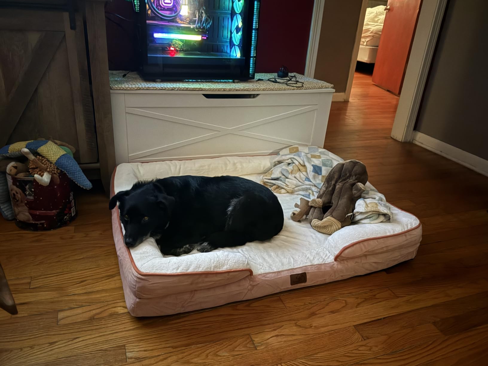 Bedsure L Plus Orthopedic Dog Bed for Large Dogs - Washable Dog Cat Bed Waterproof, L Plus Big Comfort Dogs Couch Sofa with Washable Removable Cover, Pet Bed with Nonskid Bottom, Grey, 38