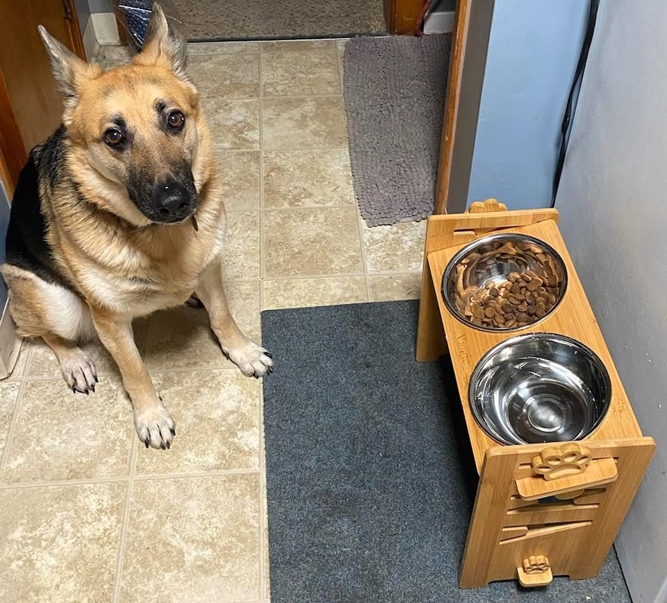 Vantic Elevated Dog Bowls, Adjustable Raised Dog Bowl Stand for Large and XLarge Pet, Sturdy Particle Board Food Feeder with 2 Stainless Steel Dishes, Rustic Brown customer photo 2
