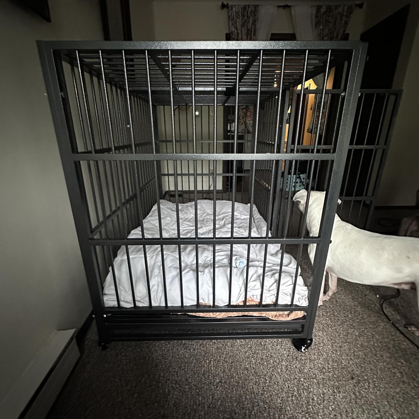 BOLDBONE 48 inch Heavy Duty Indestructible and Escape-Proof Dog Crate Cage Kennel for Large Dogs, High Anxiety Dog Crate with Removable Wire Trays and Wheels, Extra Large XL XXL, Black customer photo 2