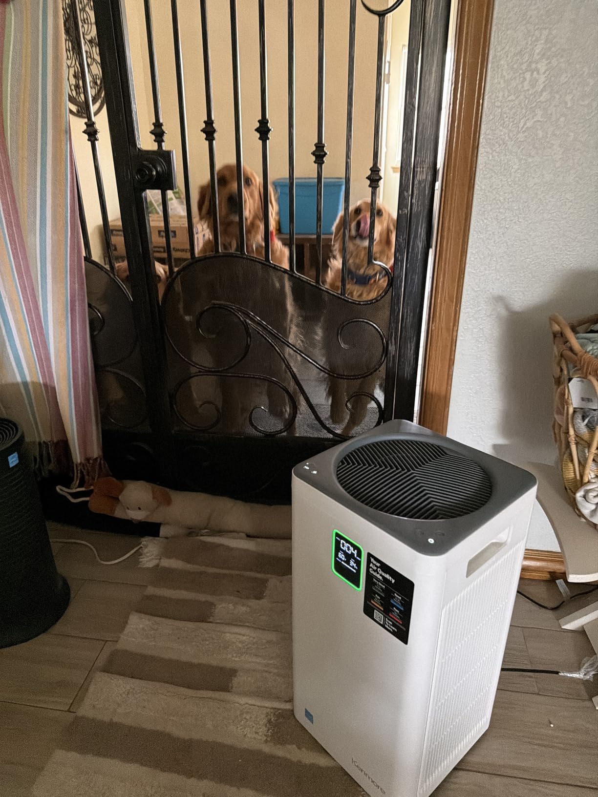 Kenmore PM1005 Air Purifier with H13 True HEPA Filter, Covers Up to 850 Sq.Foot, 25db SilentClean 3-Stage HEPA Filtration System for Office & Bedroom customer photo 1