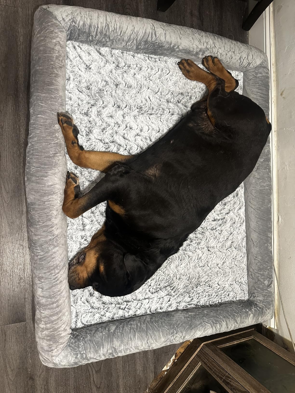 WNPETHOME XL Extra Large Dog Bed, Washable Dog Couch with Removable Waterproof Cover, Orthopedic Large Pet Sofa Bed with Bolster Sides for Sleeping customer photo 1