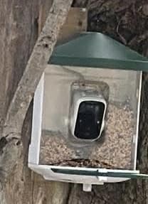 HARYMOR Bird Feeder with Camera with AI Identify Birds Species Solar Powered, Smart Bird House with Cam, 2K HD Video Live Stream, Instant Arrival Alerts - Green customer photo 1