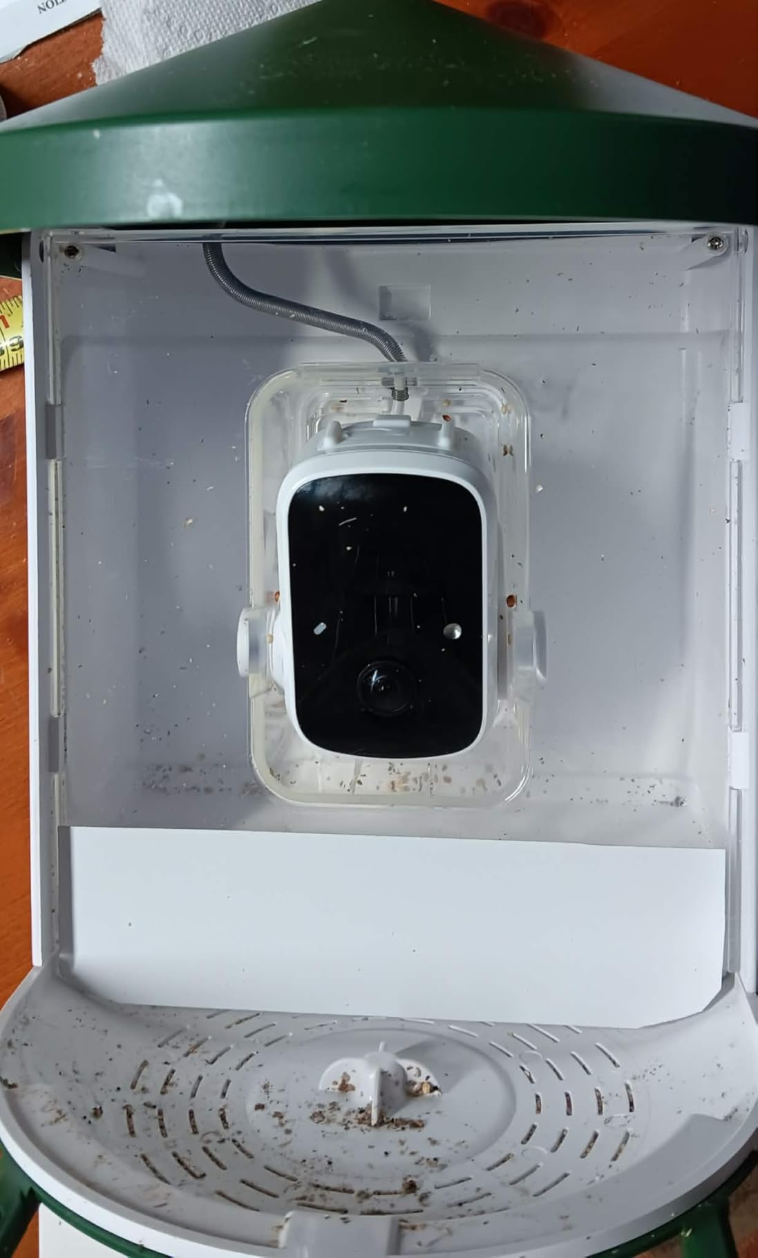 HARYMOR Bird Feeder with Camera with AI Identify Birds Species Solar Powered, Smart Bird House with Cam, 2K HD Video Live Stream, Instant Arrival Alerts - Green customer photo 2