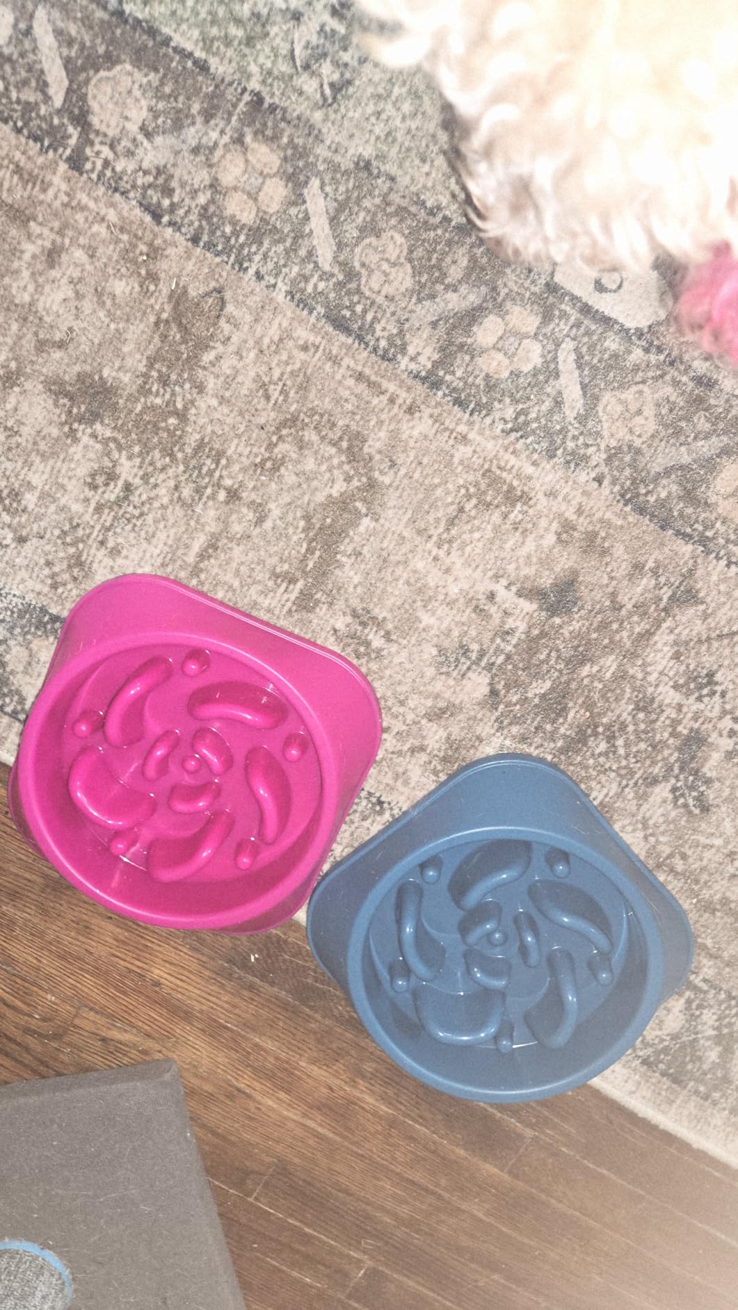 MateeyLife Slow Feeder Dog Bowls 2PCS, Anti-Choking Puzzle Dog Food Bowls, Anti-Slip Interactive Feeding Slow Down Eating, Bloat Stop Maze Dishes for Medium Breeds customer photo 1