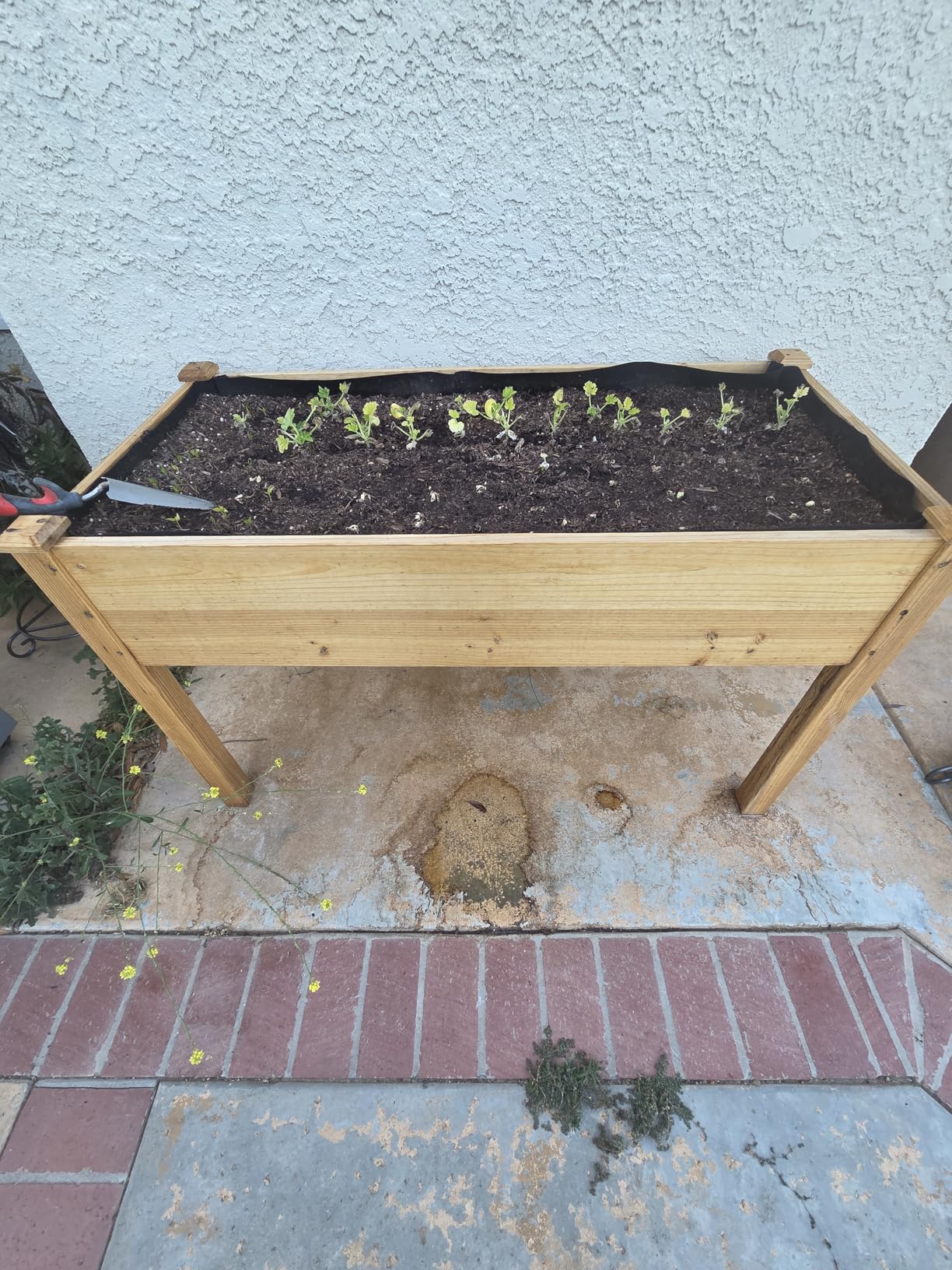 Maple99 Raised Garden Bed with Legs 48x24x30 - Natural Cedar Wood Elevated Planter Box with Bed Liner for Flowers, Veggies, Herbs - 200lb Capacity customer photo 1