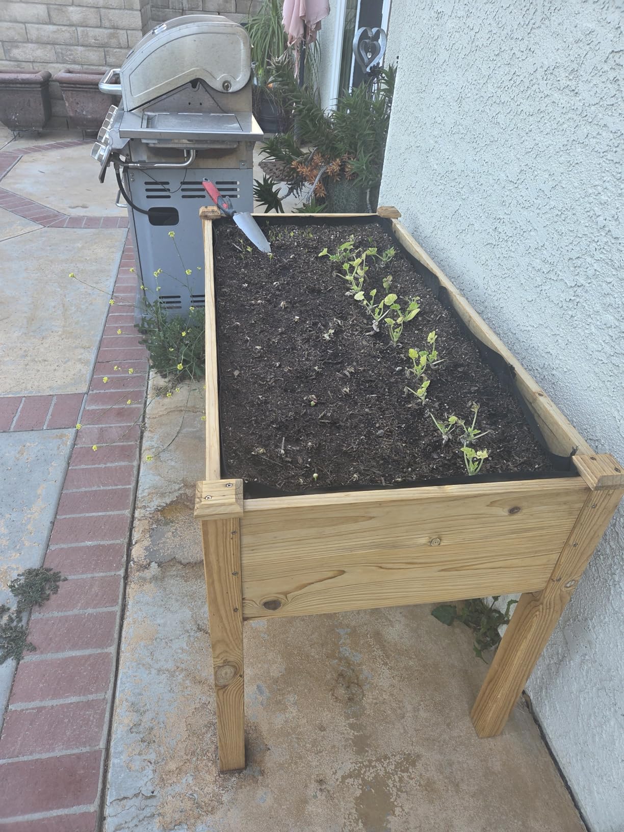 Maple99 Raised Garden Bed with Legs 48x24x30 - Natural Cedar Wood Elevated Planter Box with Bed Liner for Flowers, Veggies, Herbs - 200lb Capacity customer photo 2
