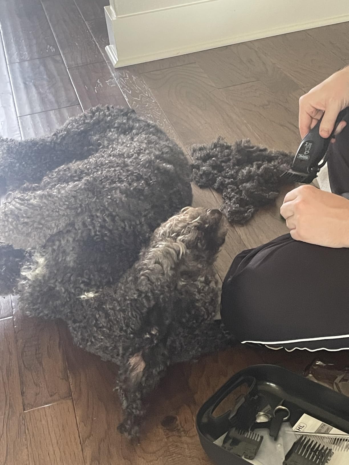 Wahl Power Pro Lithium Ion Rechargeable Cordless Dog Grooming Kit - Heavy Duty Cordless Electric Dog Clippers for Grooming The Thickest Coats - Model 3024675 customer photo 2