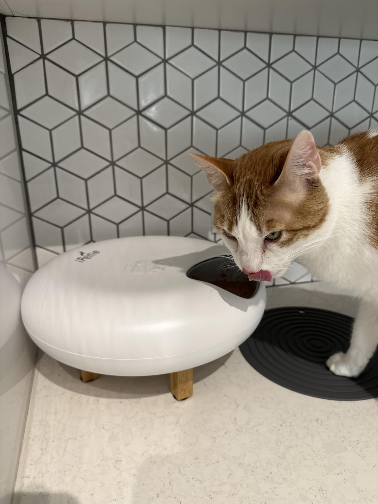 iPettie Donut Frost WiFi 6 Meal Automatic Cat Dispenser with App Control, Dry & Wet Food Automatic Cat Feeder, Smart Dog Feeder with Two Ice Packs, Programmable Timer, Holds 6 x 1/2 lb. of Food customer photo 1