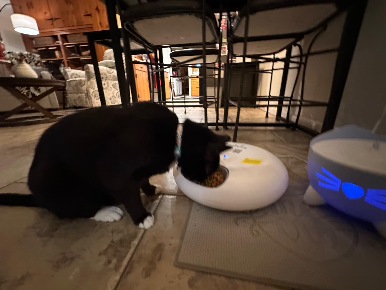 iPettie Donut Frost WiFi 6 Meal Automatic Cat Dispenser with App Control, Dry & Wet Food Automatic Cat Feeder, Smart Dog Feeder with Two Ice Packs, Programmable Timer, Holds 6 x 1/2 lb. of Food customer photo 2