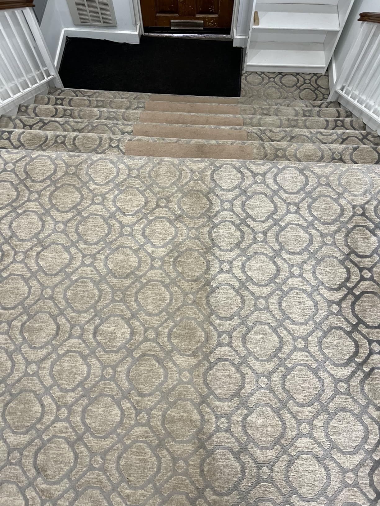 Shark CarpetXpert Upright Carpet, Area Rug & Upholstery Cleaner with StainStriker Handheld Tough Stain Eliminator, 3 Cleaning Tools, EX201 customer photo 1