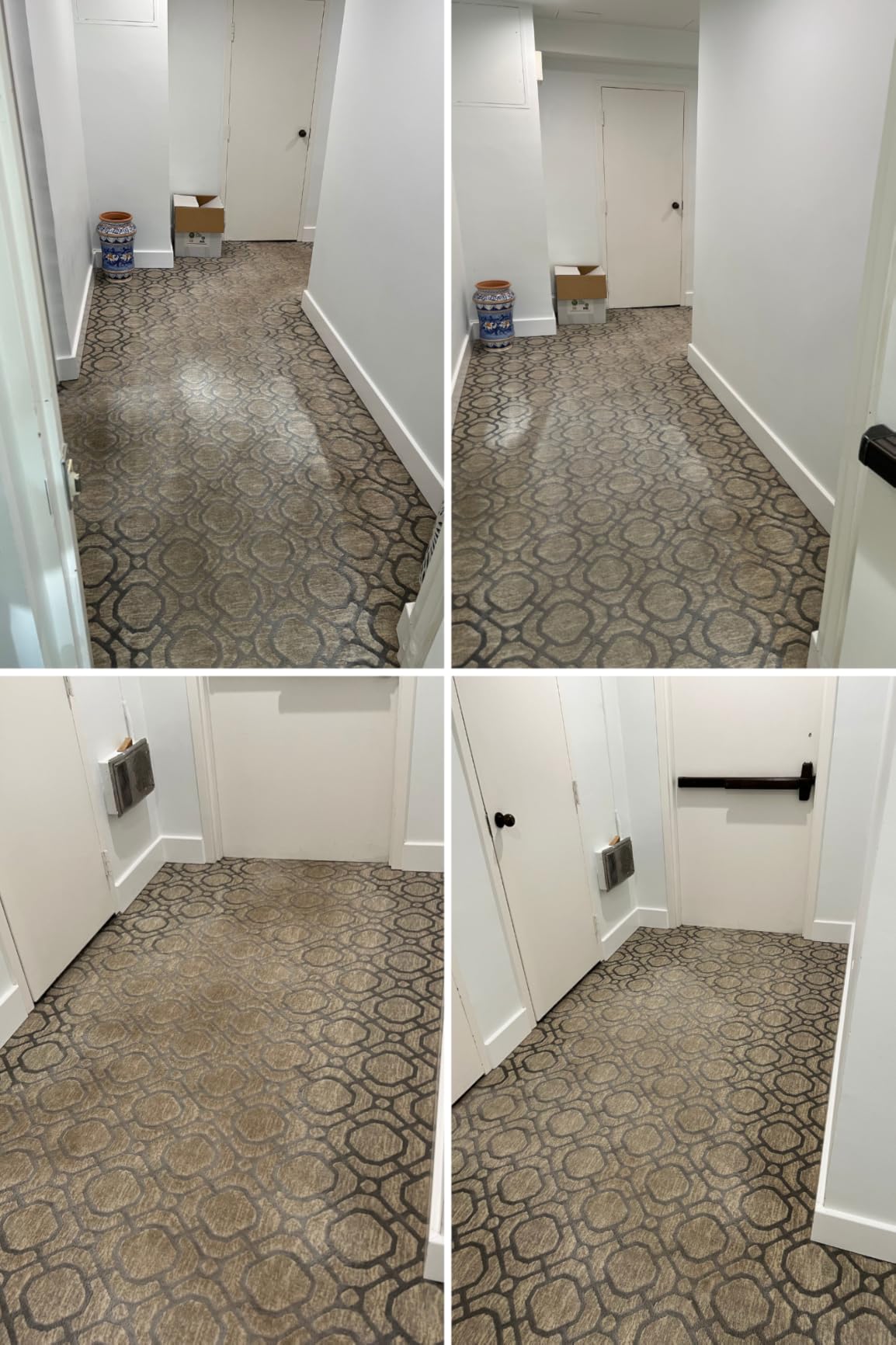 Shark CarpetXpert Upright Carpet, Area Rug & Upholstery Cleaner with StainStriker Handheld Tough Stain Eliminator, 3 Cleaning Tools, EX201 customer photo 2