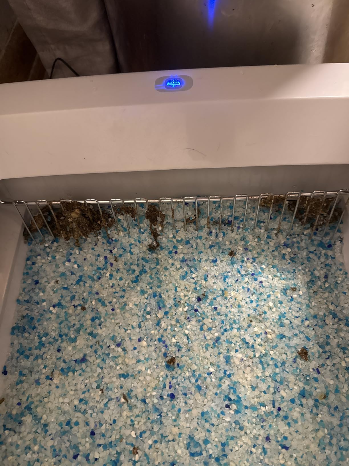 PetSafe ScoopFree Crystal Classic Self-Cleaning Litter Box System - Automatic Cat Litter Box - Advanced Odor Control - Includes Disposable Crystal Litter Tray (PAL00-17296) customer photo 2