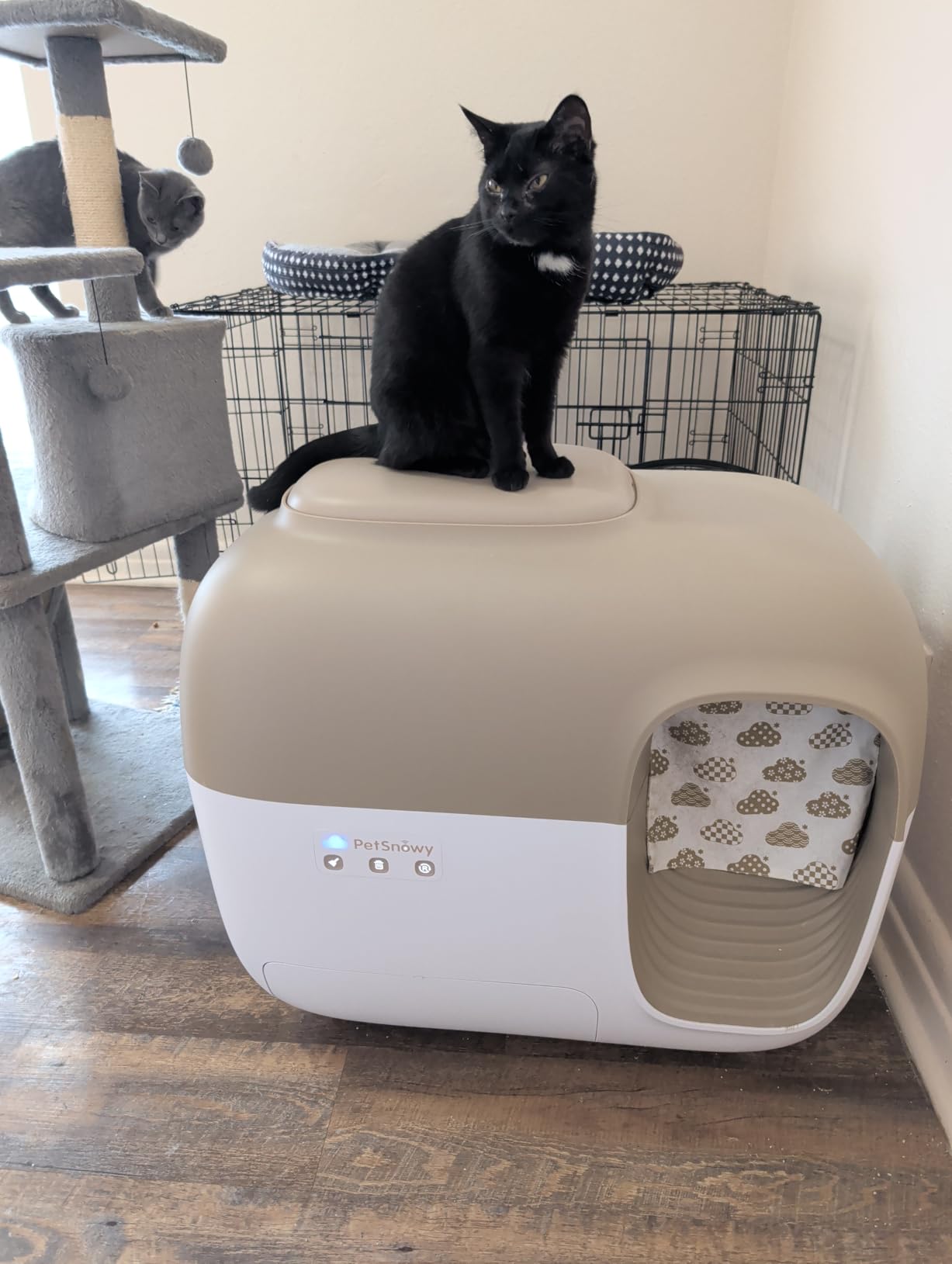 Self-Cleaning Automatic Cat Litter Box with Odor Control TiO2 System, Robot Litter Box with Auto-Packing, App Control, Large Cats & Multiple Cats (2026 Premium Version) customer photo 1