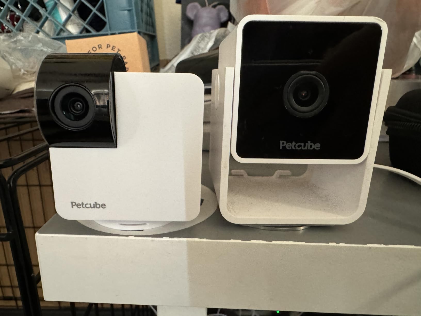 Petcube Cam 360 Camera Interactive WiFi Pet and Home Security Pan-Tilt Camera with Phone App, 1080p HD Video, 360° Rotation, Night Vision, AI Alerts customer photo 2