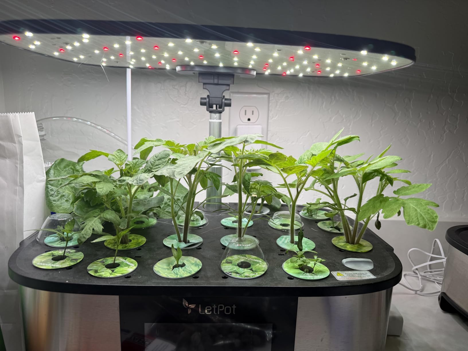 LetPot LPH-Max Hydroponics Growing System Kit, 21 Pods APP & WiFi Automatic Controlled Smart Indoor Garden customer photo 1