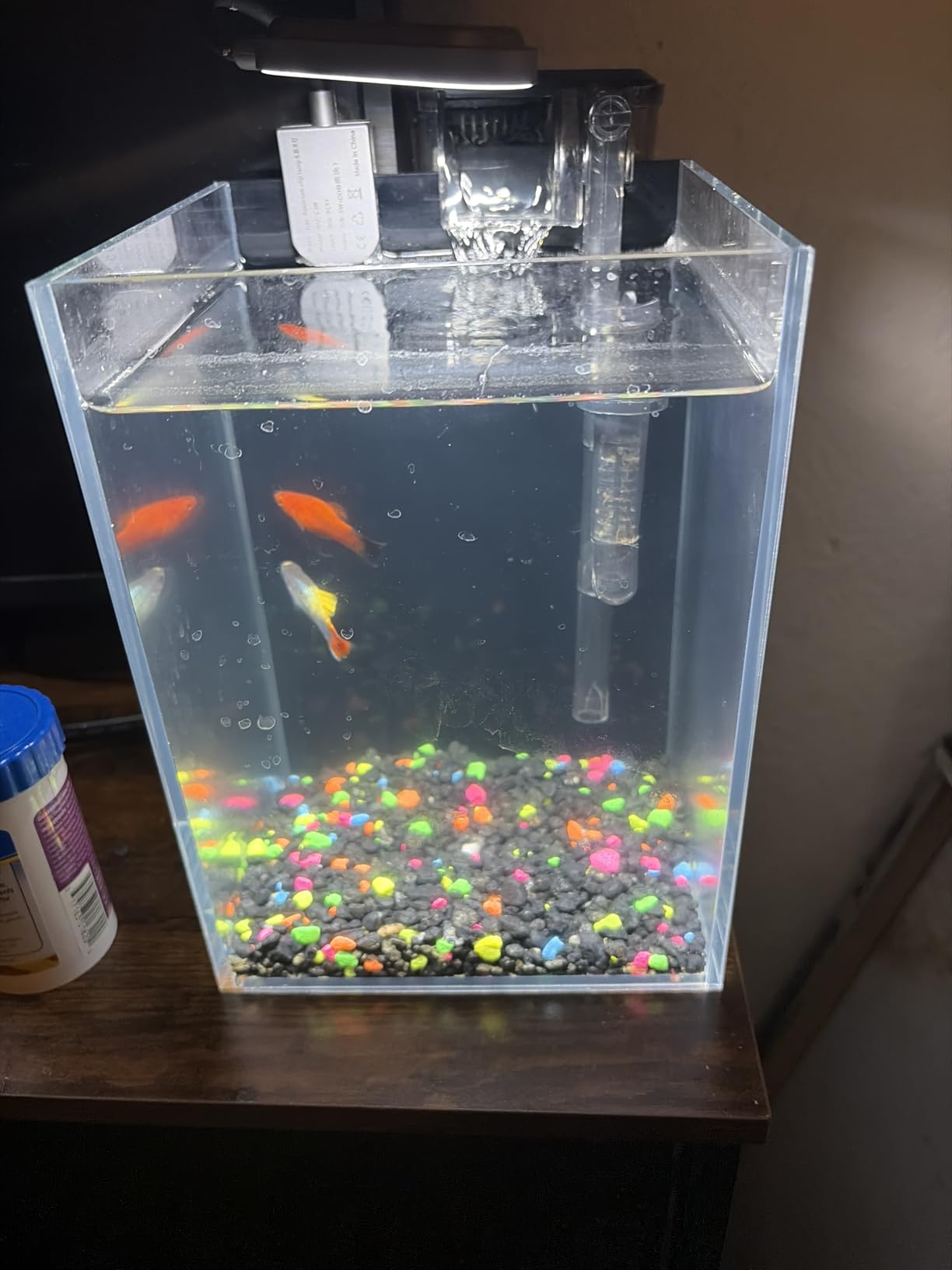 1.5 Gallon Fish Tank Starter Kits, Nano Glass Aquarium with Filter, Led Light for Aquascape DIY Small Betta Fish Tank customer photo 1