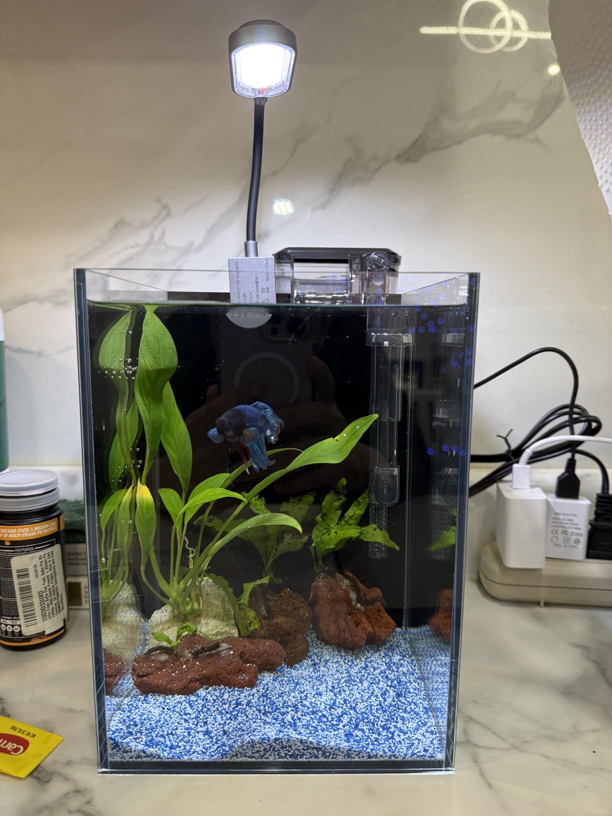 1.5 Gallon Fish Tank Starter Kits, Nano Glass Aquarium with Filter, Led Light for Aquascape DIY Small Betta Fish Tank customer photo 2