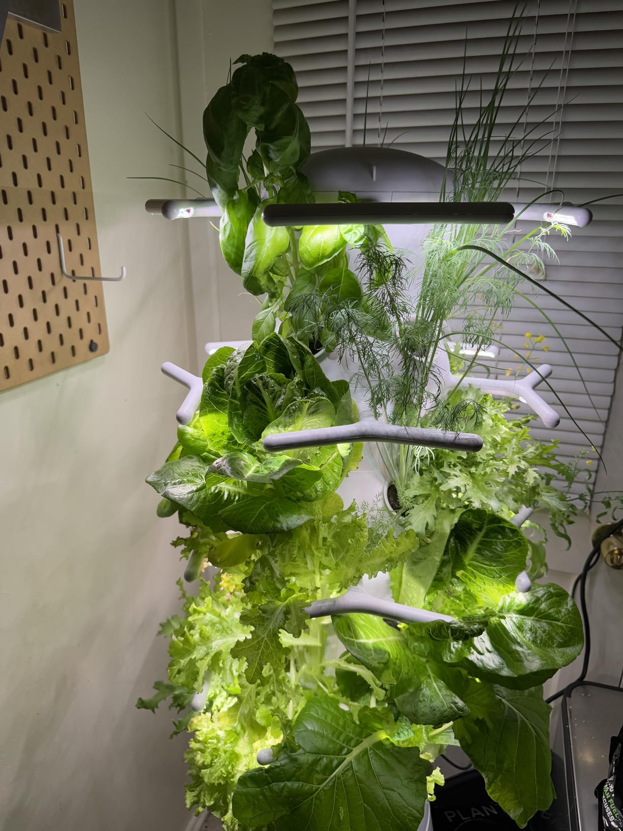 Lettuce Grow Farmstand Nook 4ft 7in Vertical Hydroponic Garden Tower - Self-Watering with LED Grow Lights, 20 Live Seedlings customer photo 1