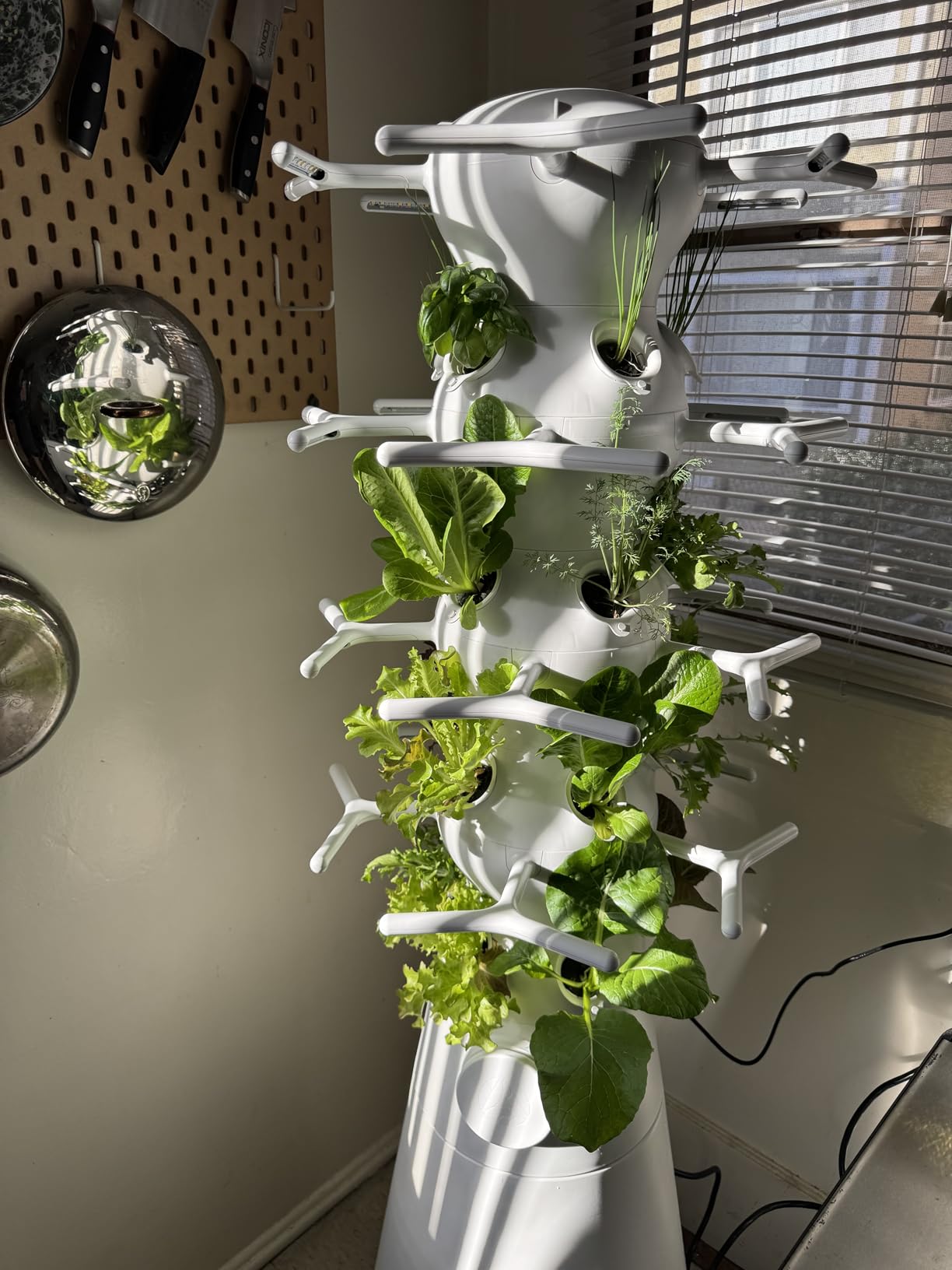 Lettuce Grow Farmstand Nook 4ft 7in Vertical Hydroponic Garden Tower - Self-Watering with LED Grow Lights, 20 Live Seedlings customer photo 2
