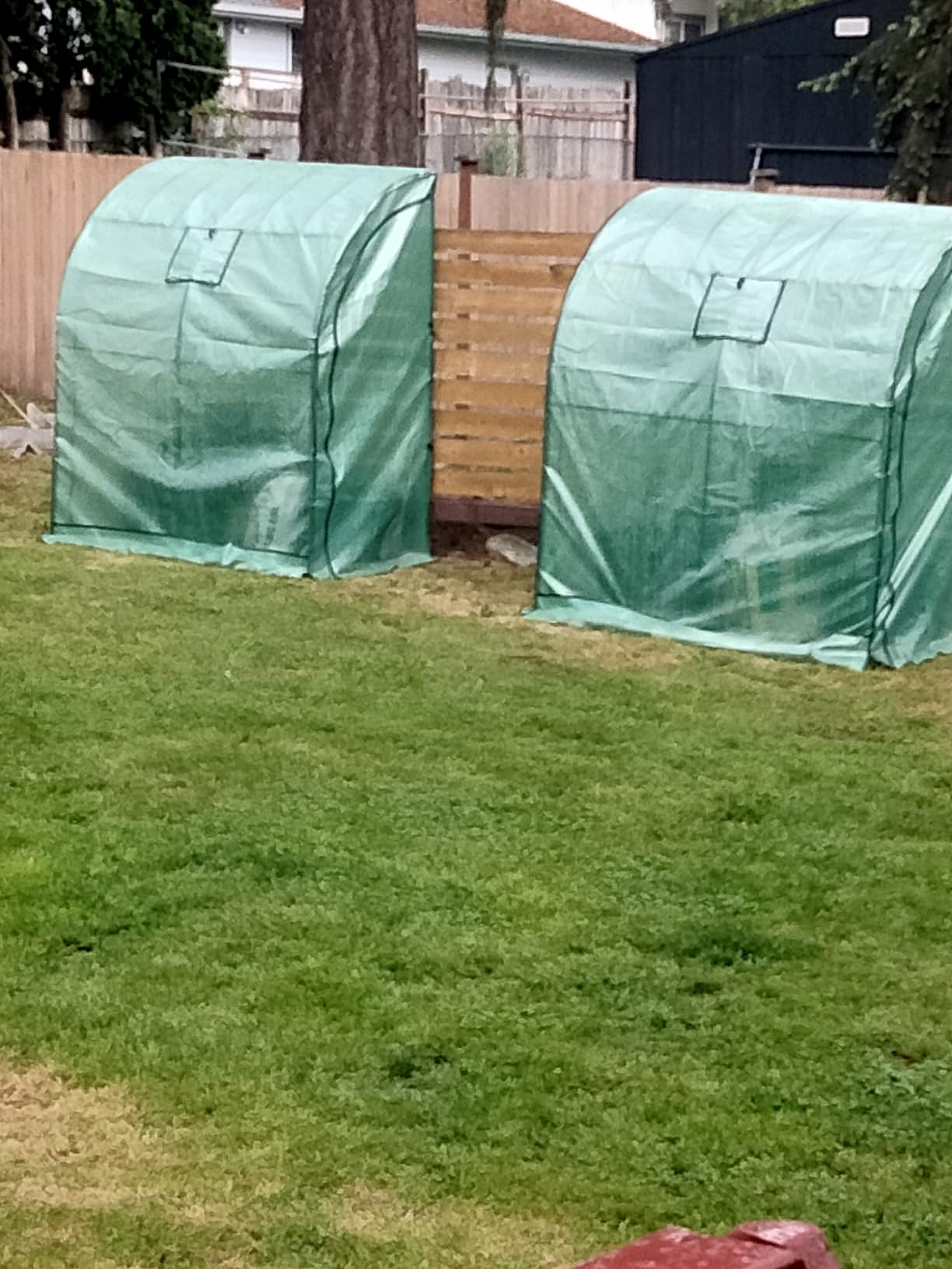 Lean-to Greenhouse with 3-Tier Shelves: Ohuhu Portable Walk-in Wall Mounted Green House with Mesh Windows, 79