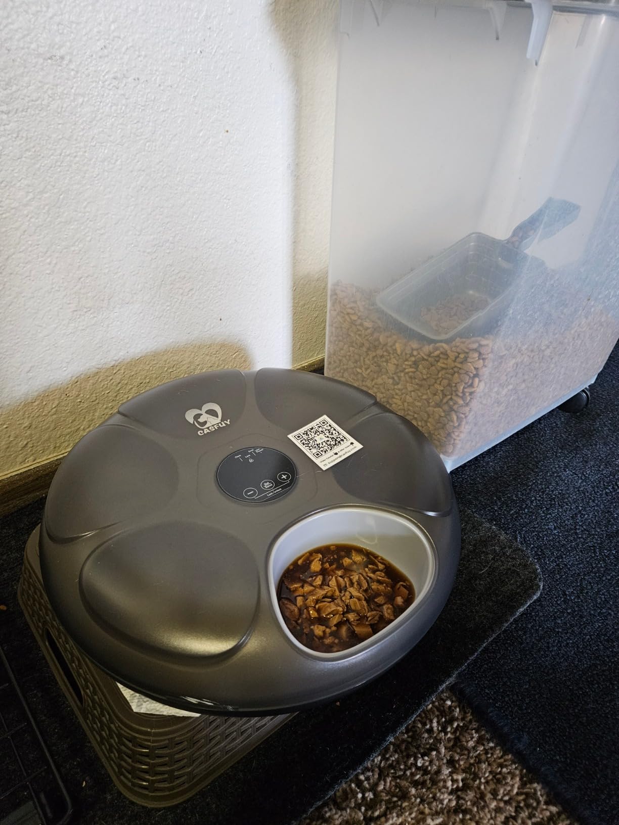 Casfuy Automatic Cat Feeder Cordless - Automatic Cat Food Dispenser for Wet Moist Food with 4 Ice Packs Rechargeable Auto Feeder for Cats Small Dogs with Programmable Timer Low Battery Indicator customer photo 2