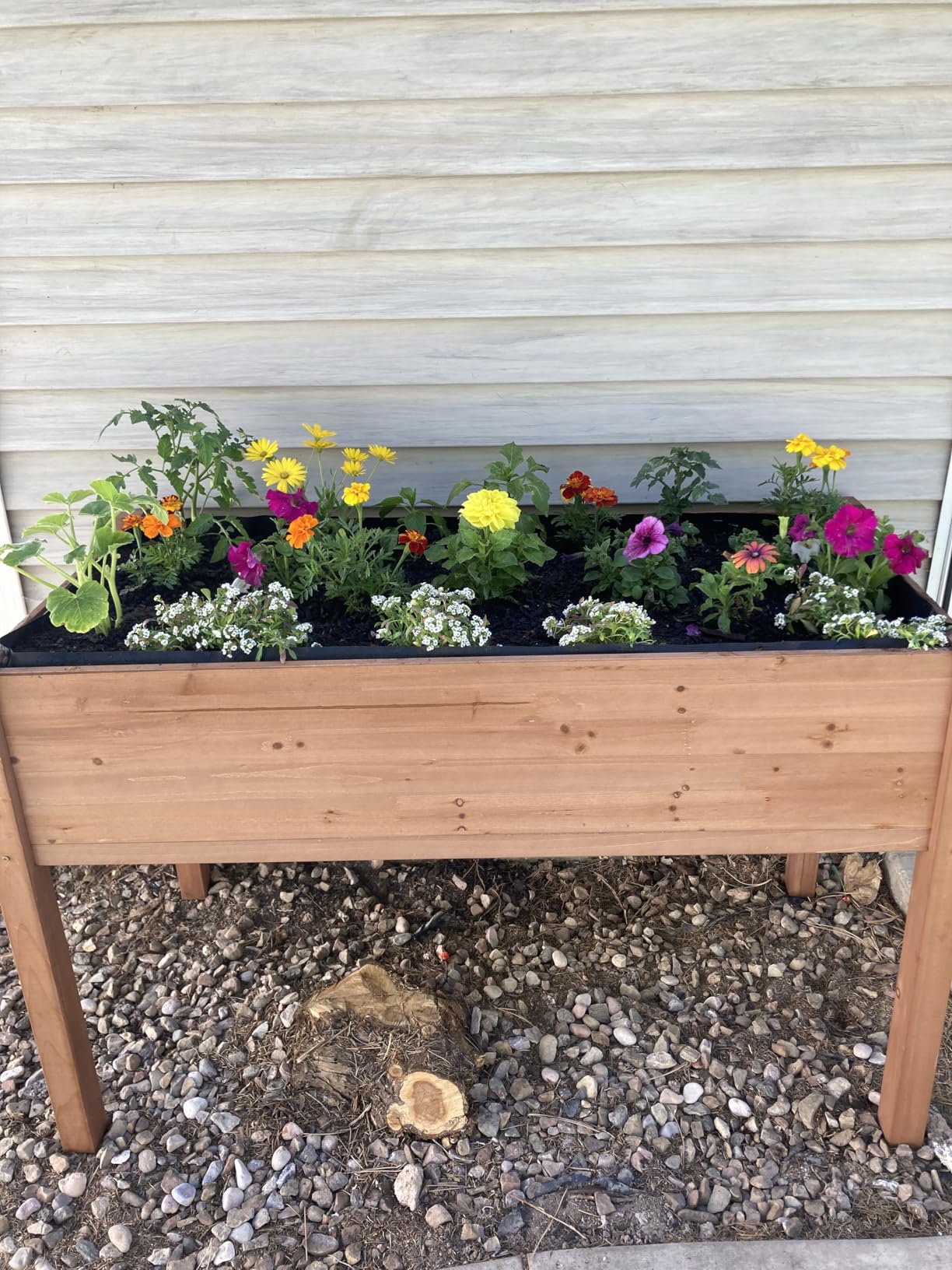 Raised Garden Bed with Legs, 48x24x30'', Outdoor Wood Elevated Planter Box, Thick Legs, w/Liner customer photo 1