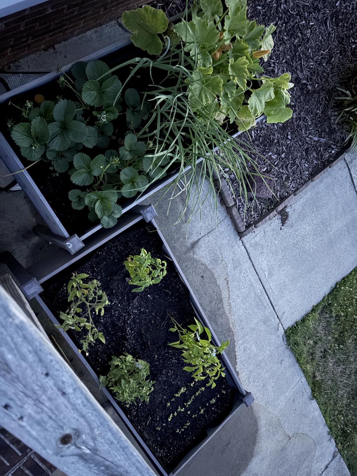 Raised Garden Bed with Legs, 48x24x30'', Outdoor Wood Elevated Planter Box, Thick Legs, w/Liner customer photo 2