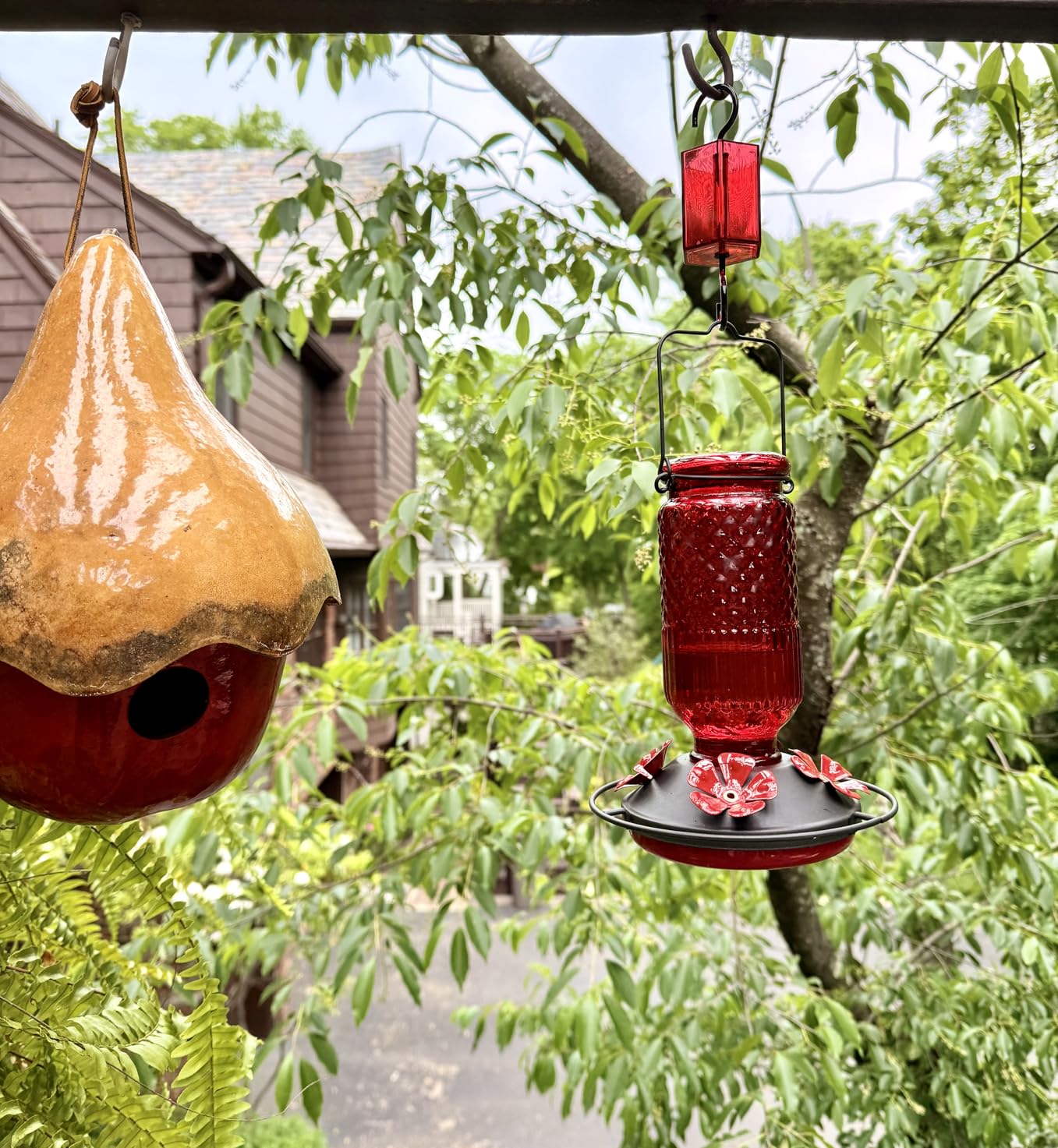 FEED GARDEN Glass Hummingbird Feeder, 16oz Outdoor Hanging Bird Feeder with Ant Moat, 4 Bee-Proof Feeding Ports, 360 Degree Perch, Leak-Proof, Red customer photo 1