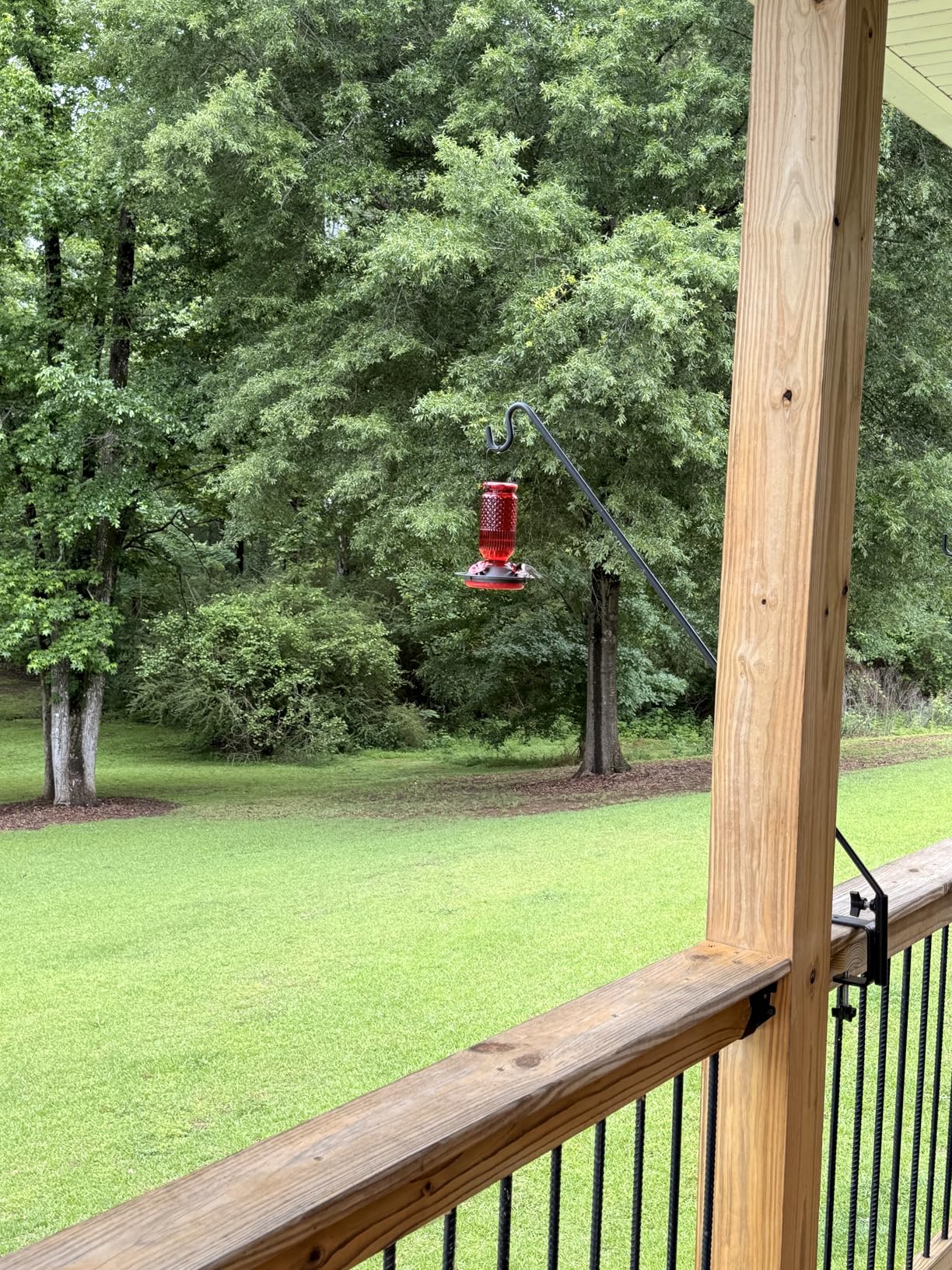 FEED GARDEN Glass Hummingbird Feeder, 16oz Outdoor Hanging Bird Feeder with Ant Moat, 4 Bee-Proof Feeding Ports, 360 Degree Perch, Leak-Proof, Red customer photo 2