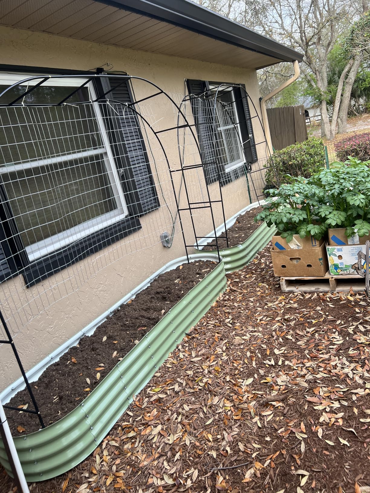 Winpull Raised Garden Bed with Legs, 48x24x32in Large Galvanized Elevated Planter Box, Metal Raised Beds for Gardening Backyard Patio Balcony, 400lb Capacity (Avocado Green) customer photo 2