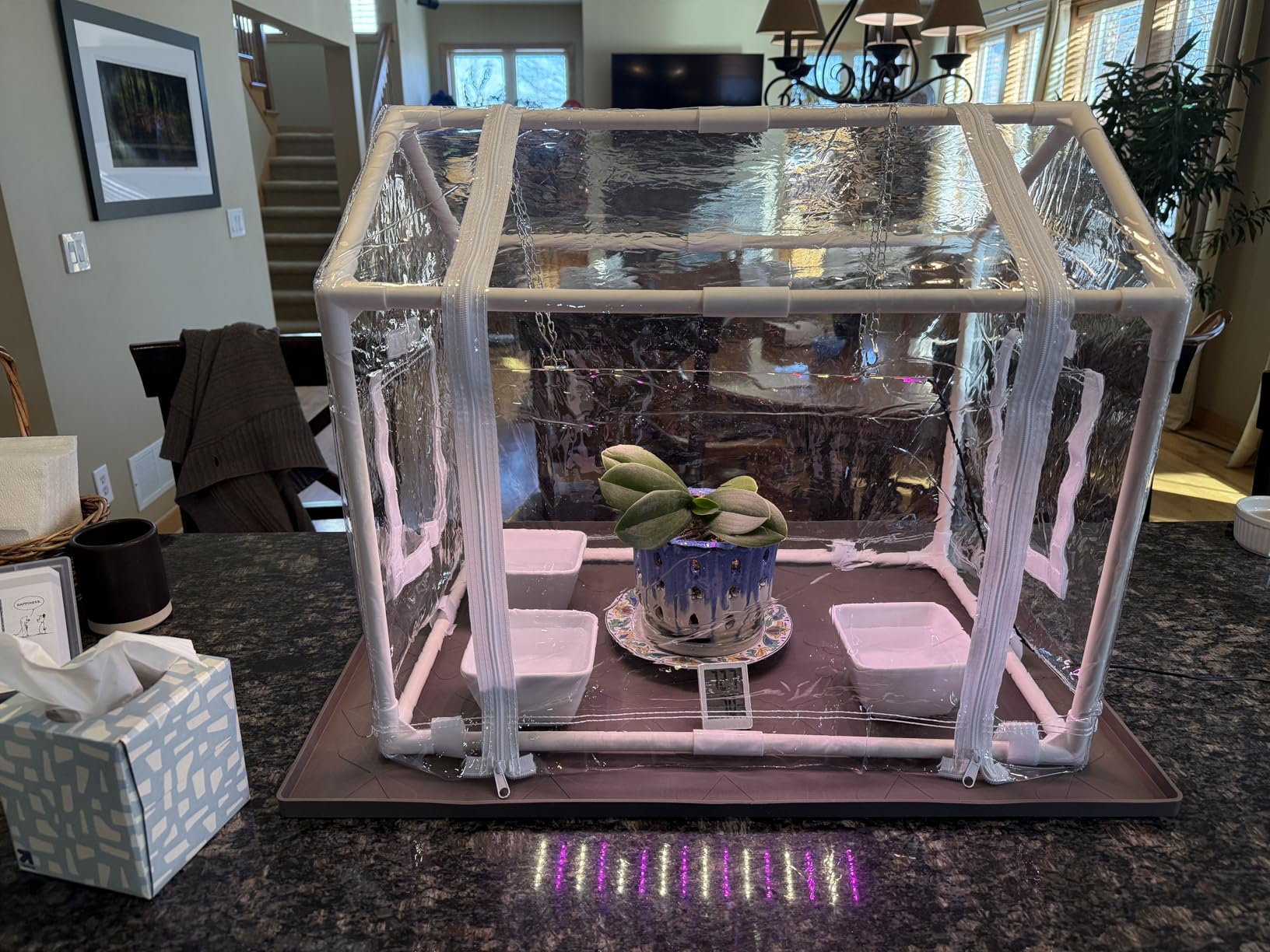 Meonum Mini Greenhouse for Indoor Outdoor, Portable Green House with 15W Plant Dimmable LED Grow Lights, Timer, 3 Light Color Mode for Indoor Outdoor Seed Starter Tray (23.6x15.7x19.6) customer photo 1