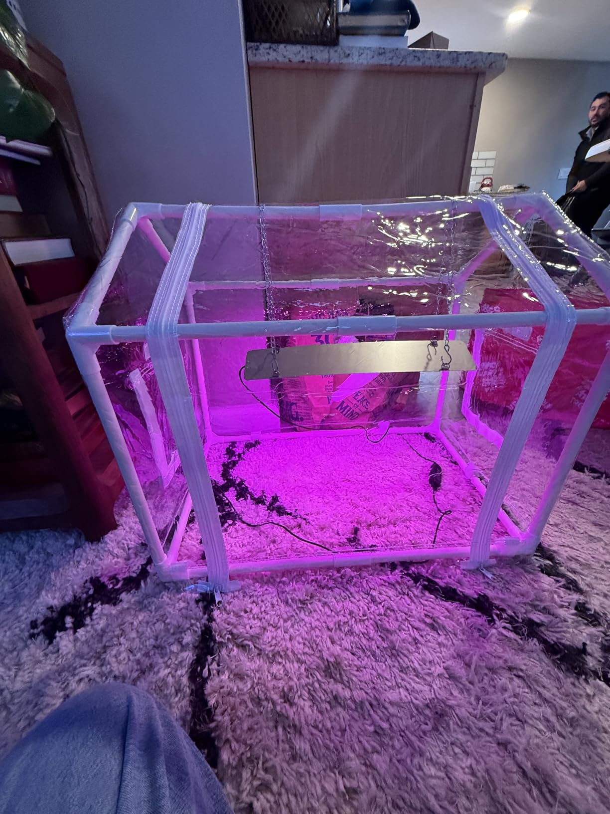 Meonum Mini Greenhouse for Indoor Outdoor, Portable Green House with 15W Plant Dimmable LED Grow Lights, Timer, 3 Light Color Mode for Indoor Outdoor Seed Starter Tray (23.6x15.7x19.6) customer photo 2
