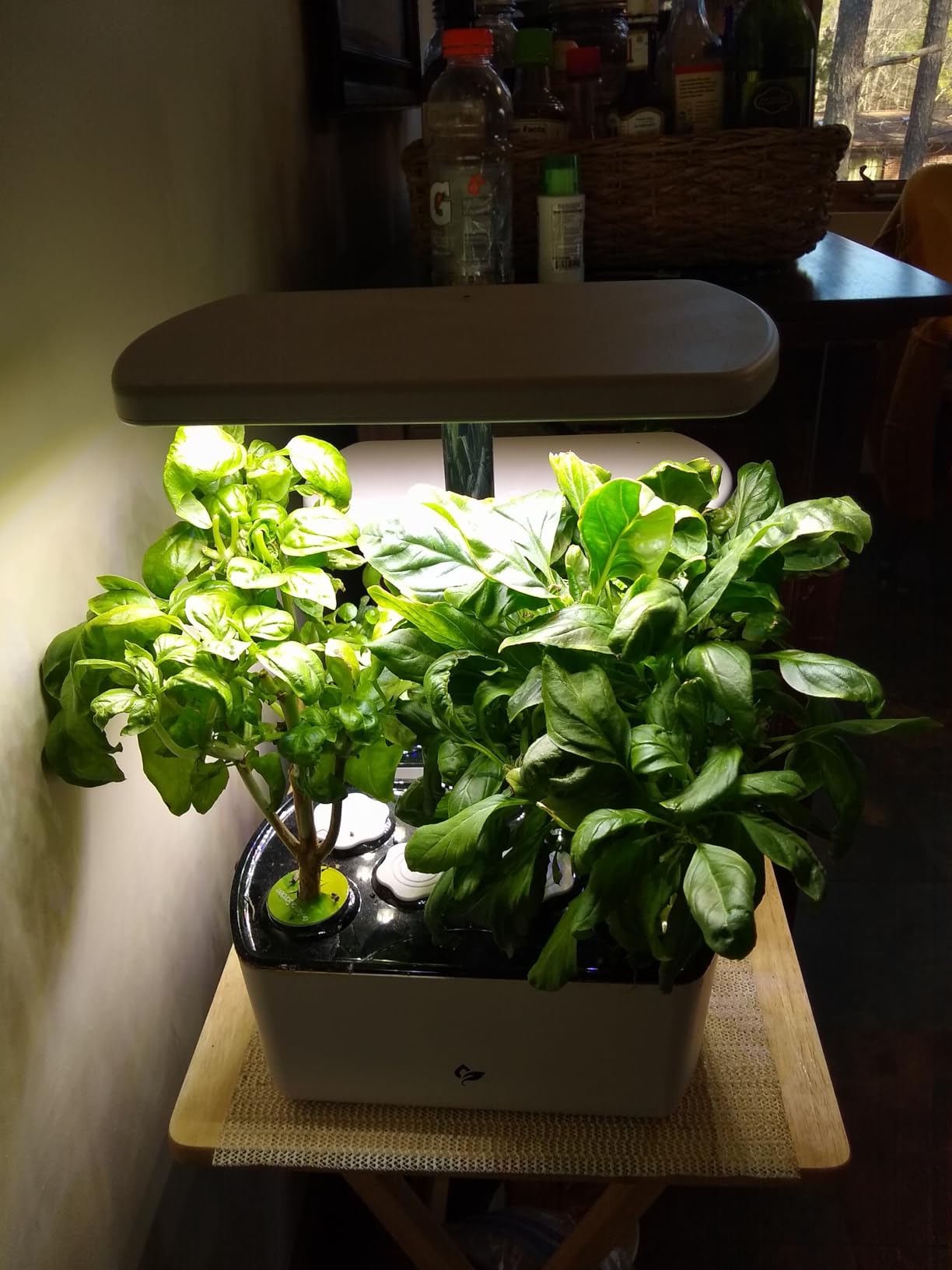AeroGarden Harvest Lite in Cream, Soil-Free Indoor Hydroponic Garden with LED Grow Light for Year-Round Gardening of up to 6 Herbs and Vegetables customer photo 2