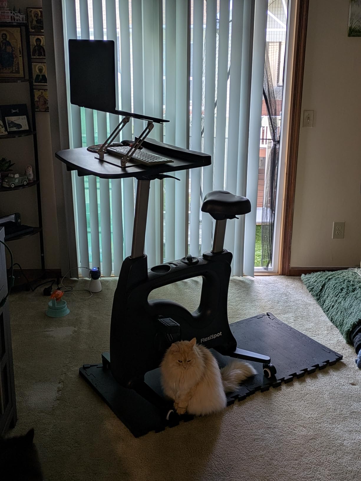 FLEXISPOT Exercise Bikes for Home, Space Saving Under Desk Bike, Stationary Bikes Indoor Bikes with Flywheel 300LBS Heavy Duty, Optional LCD/2D Desktop/8-Level Resistance, V8/V9/V9-MAX customer photo 2